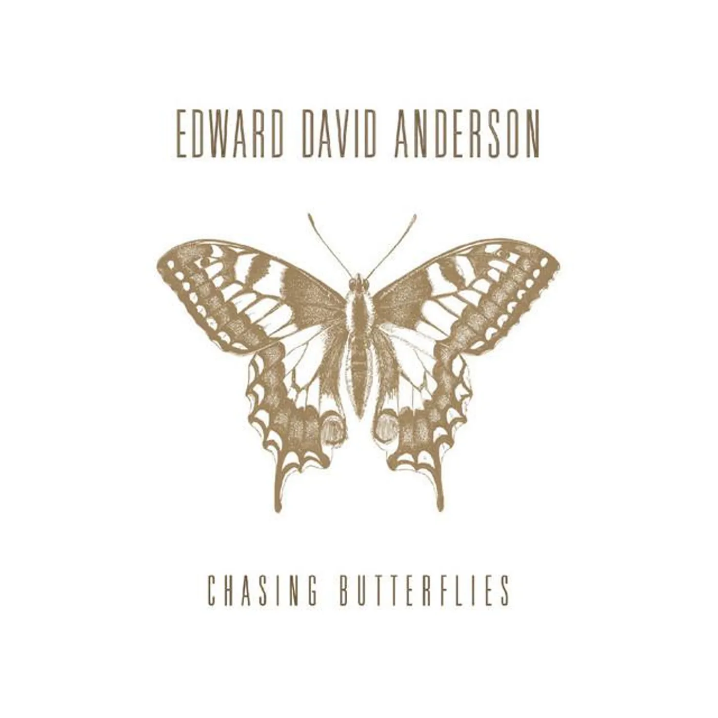 Edward David Anderson Brand Page