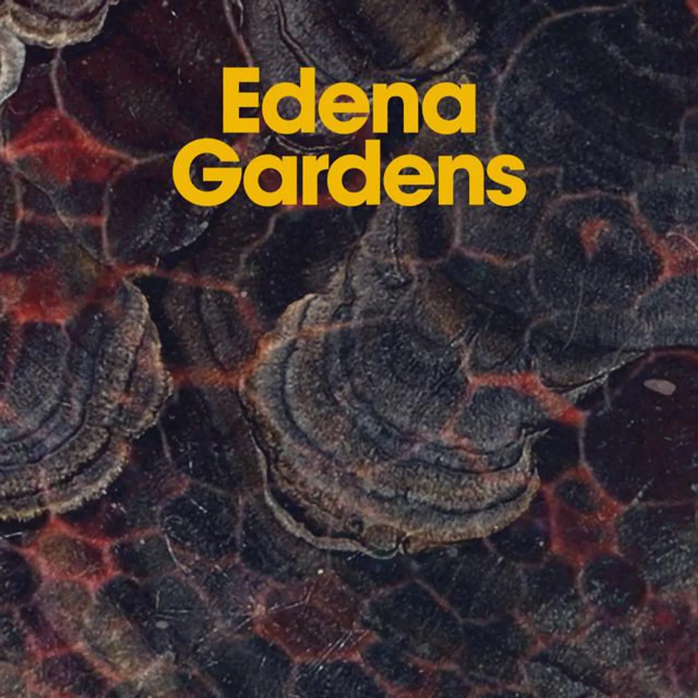 Edena Gardens Brand Page