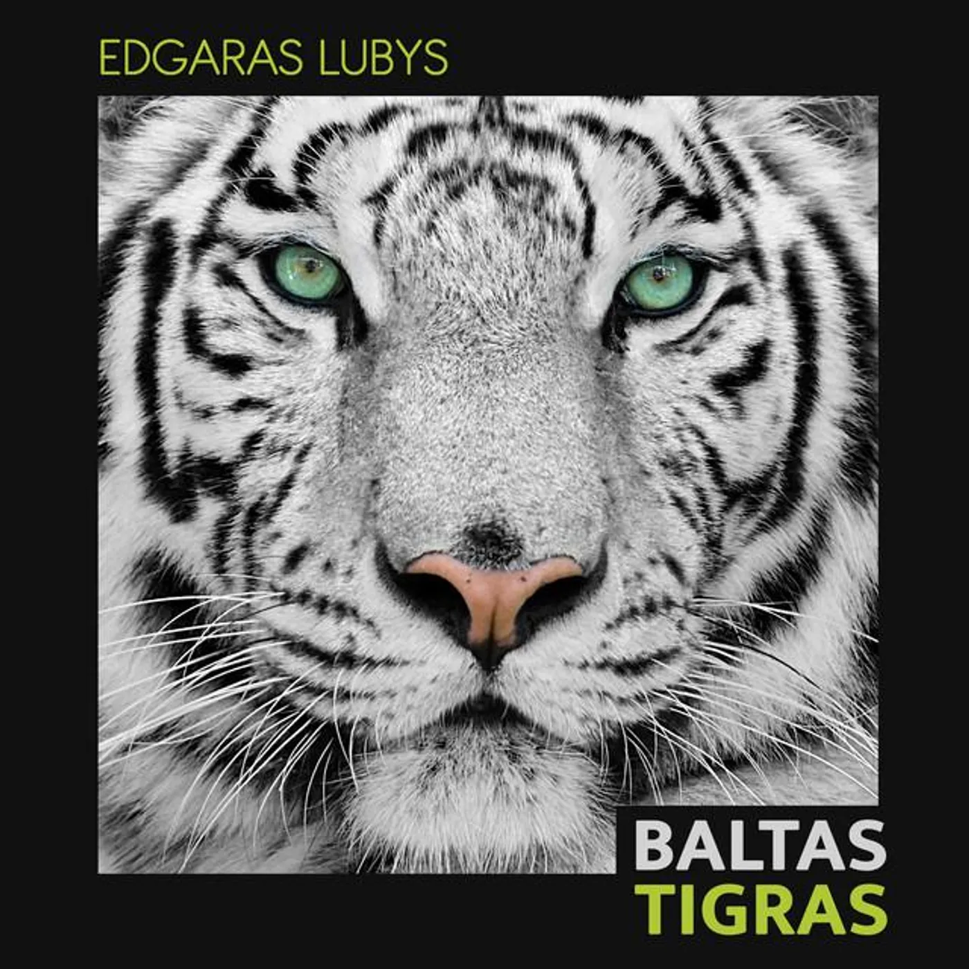 Edgaras Lubys Brand Page