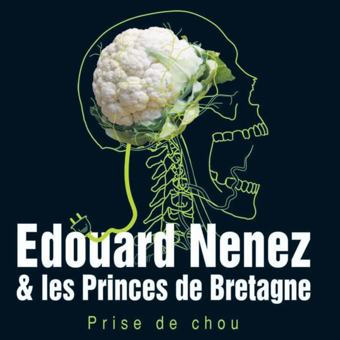 Edouard Nenez et les Princes de Bretagne Brand Page
