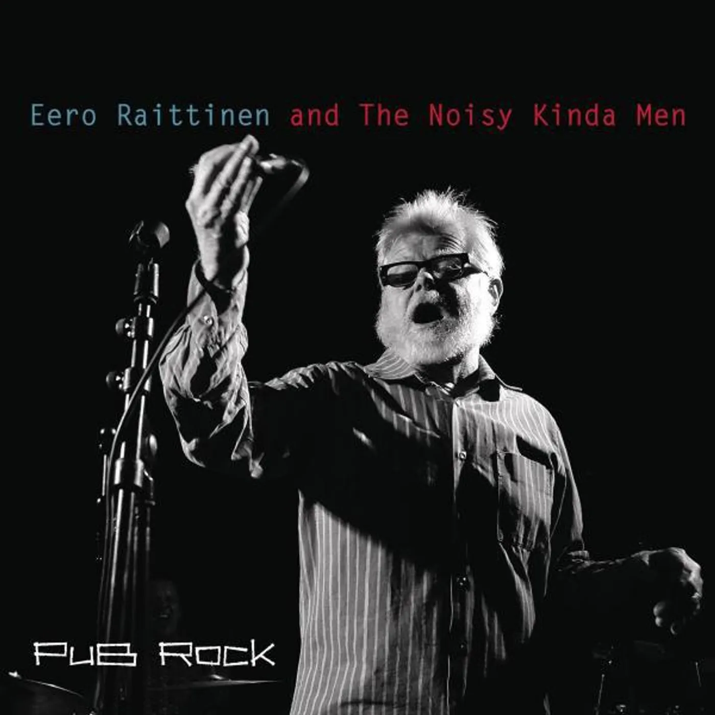 Eero Raittinen And The Noisy Kinda Men