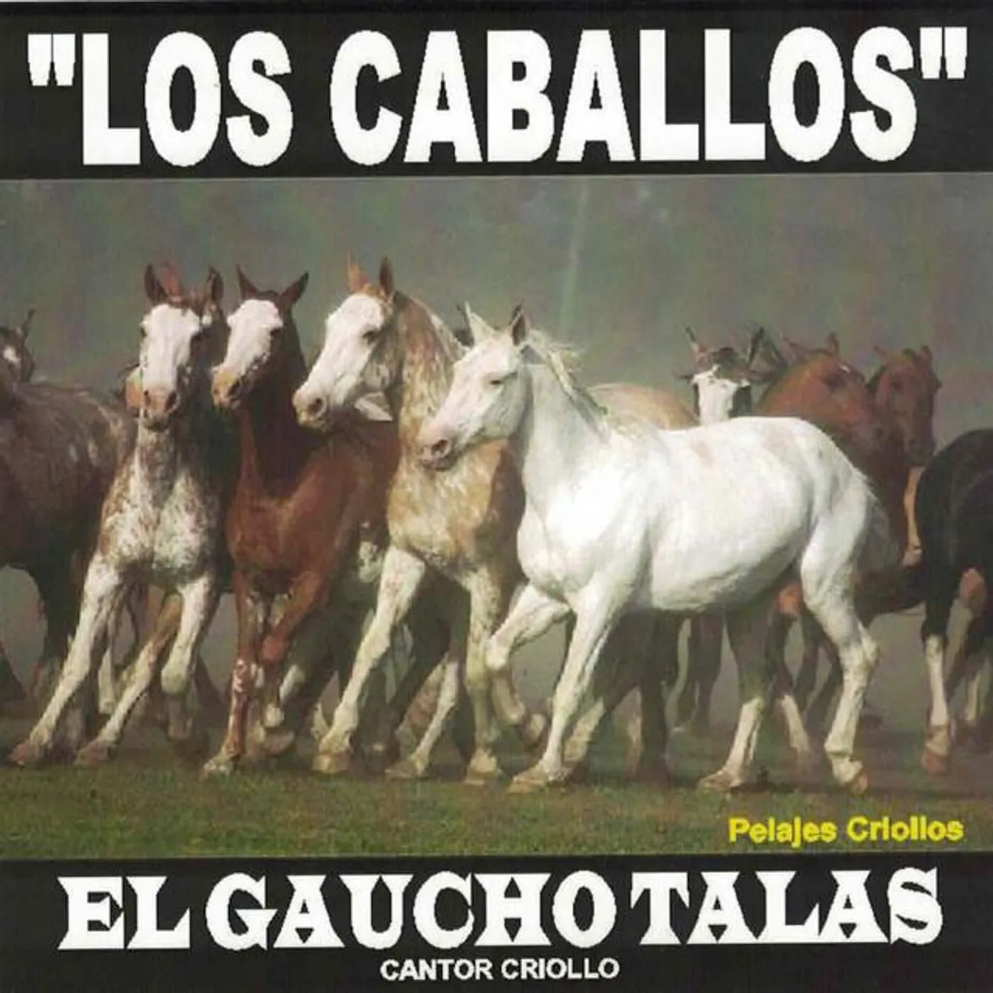 El Gaucho Talas