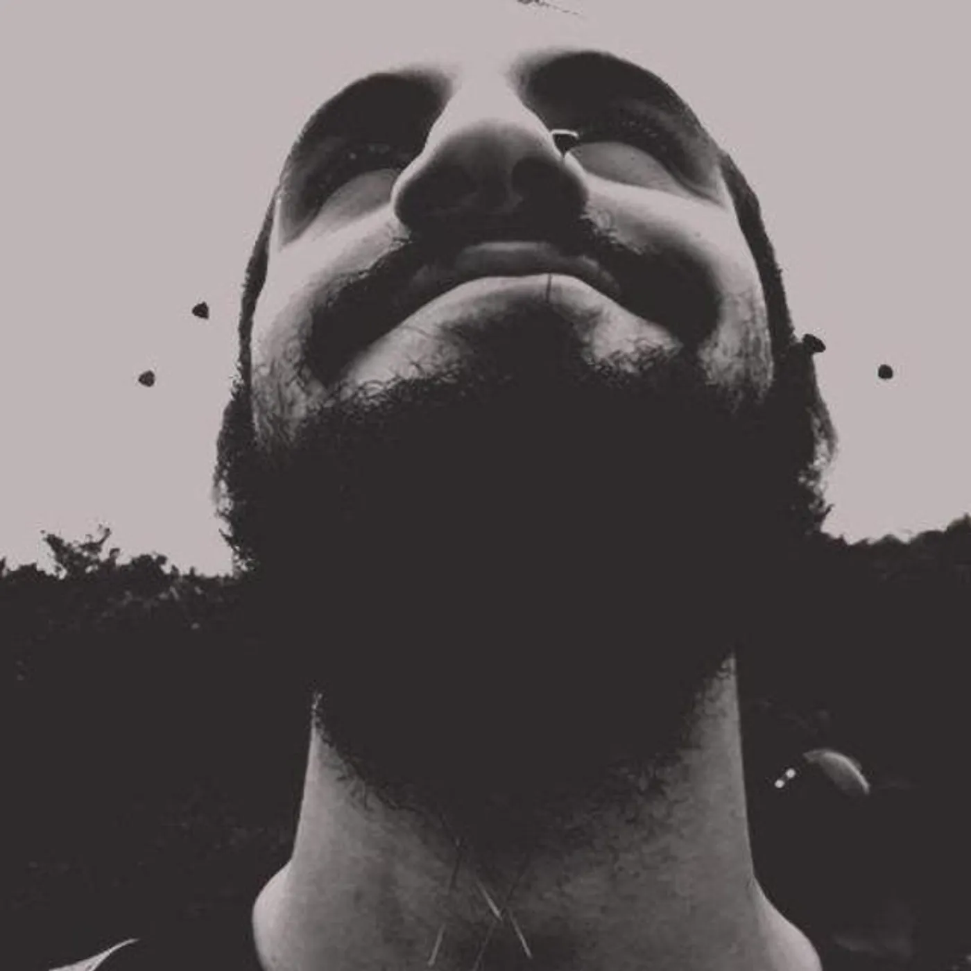 El Presidente Brand Page