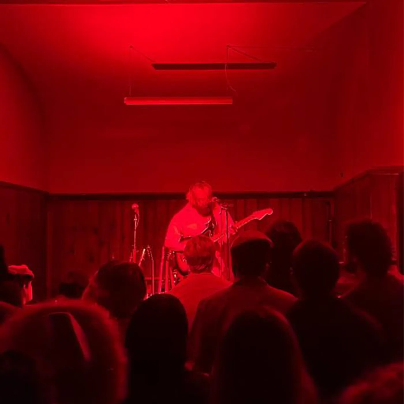 Elvis Depressedly Brand Page