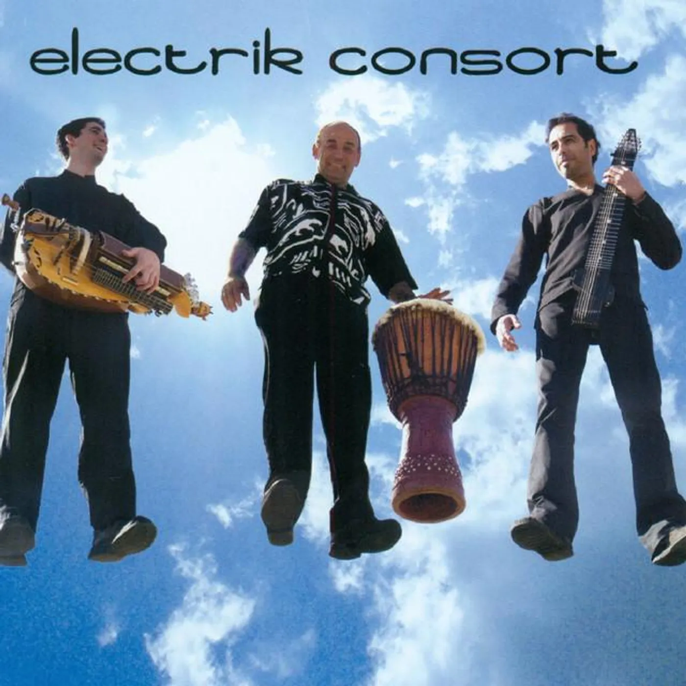 Electrik Consort