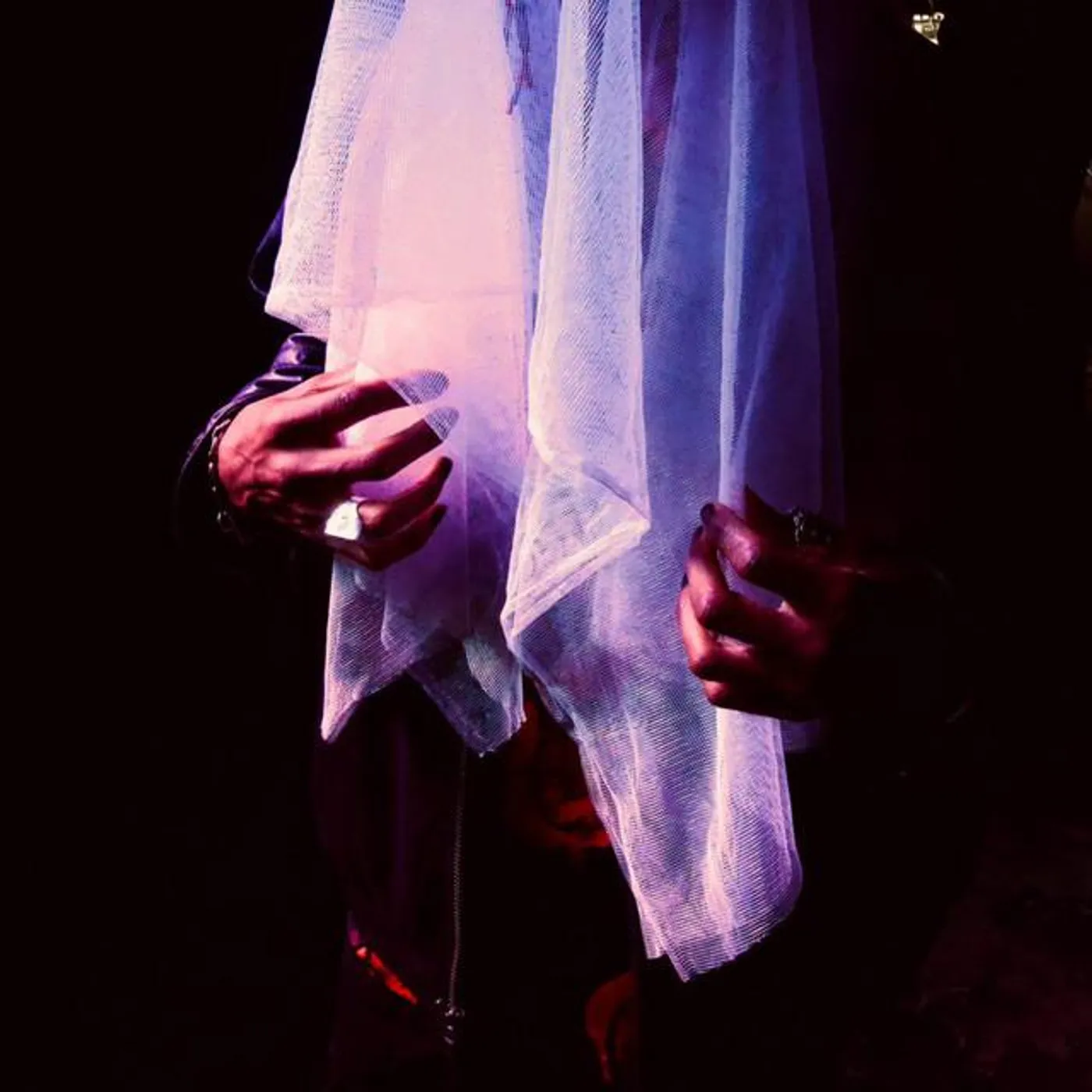 Elegance of the Damned