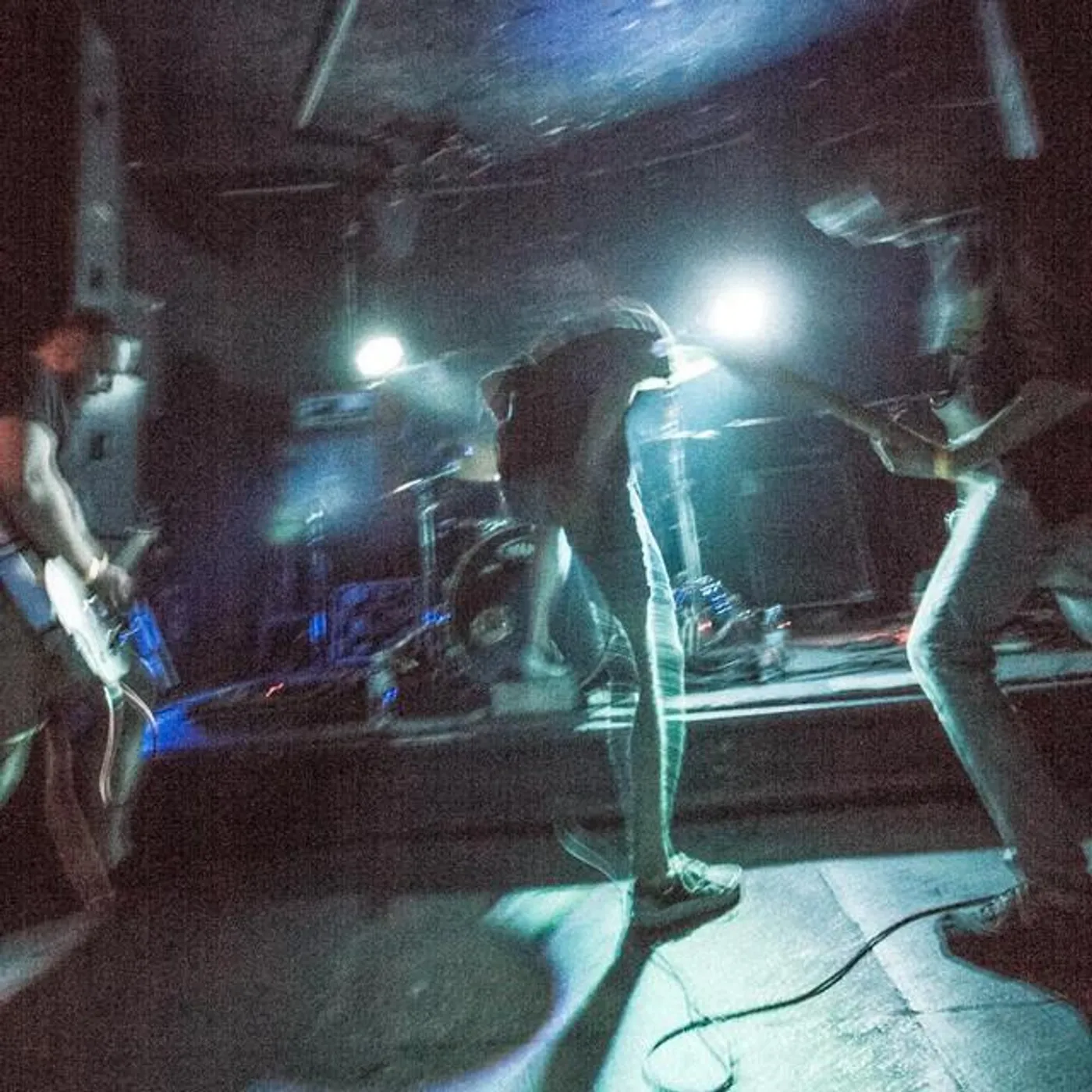 Elephant Opinions Brand Page