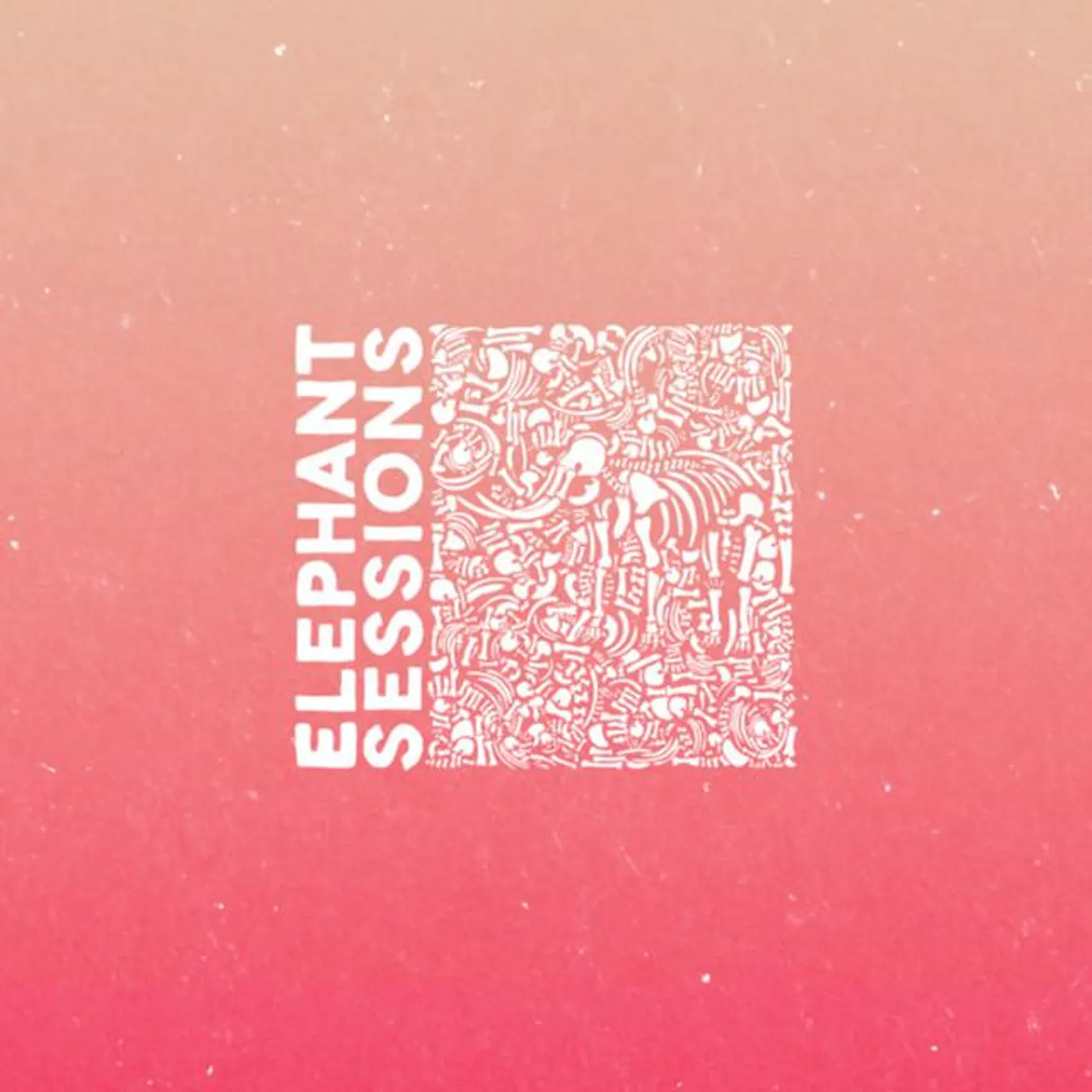 Elephant Sessions Brand Page