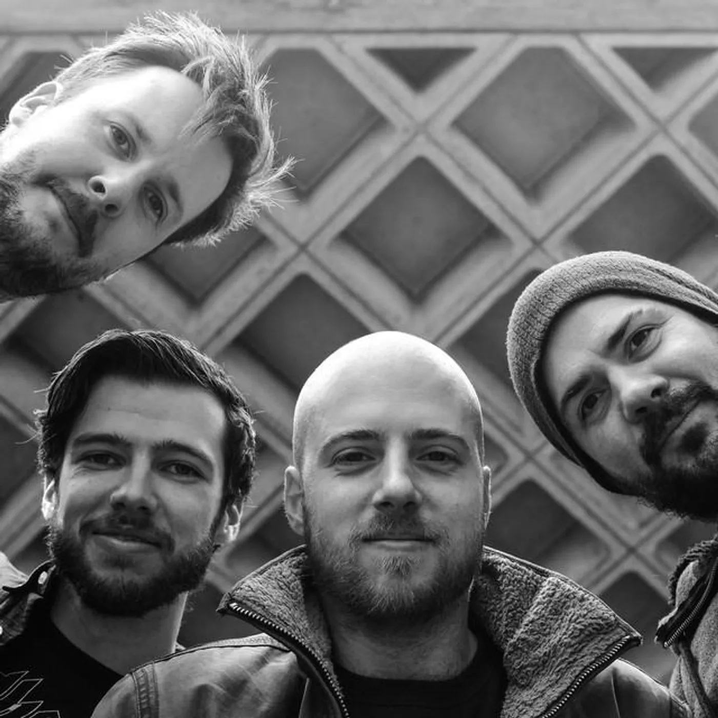 Elephant Tree Brand Page