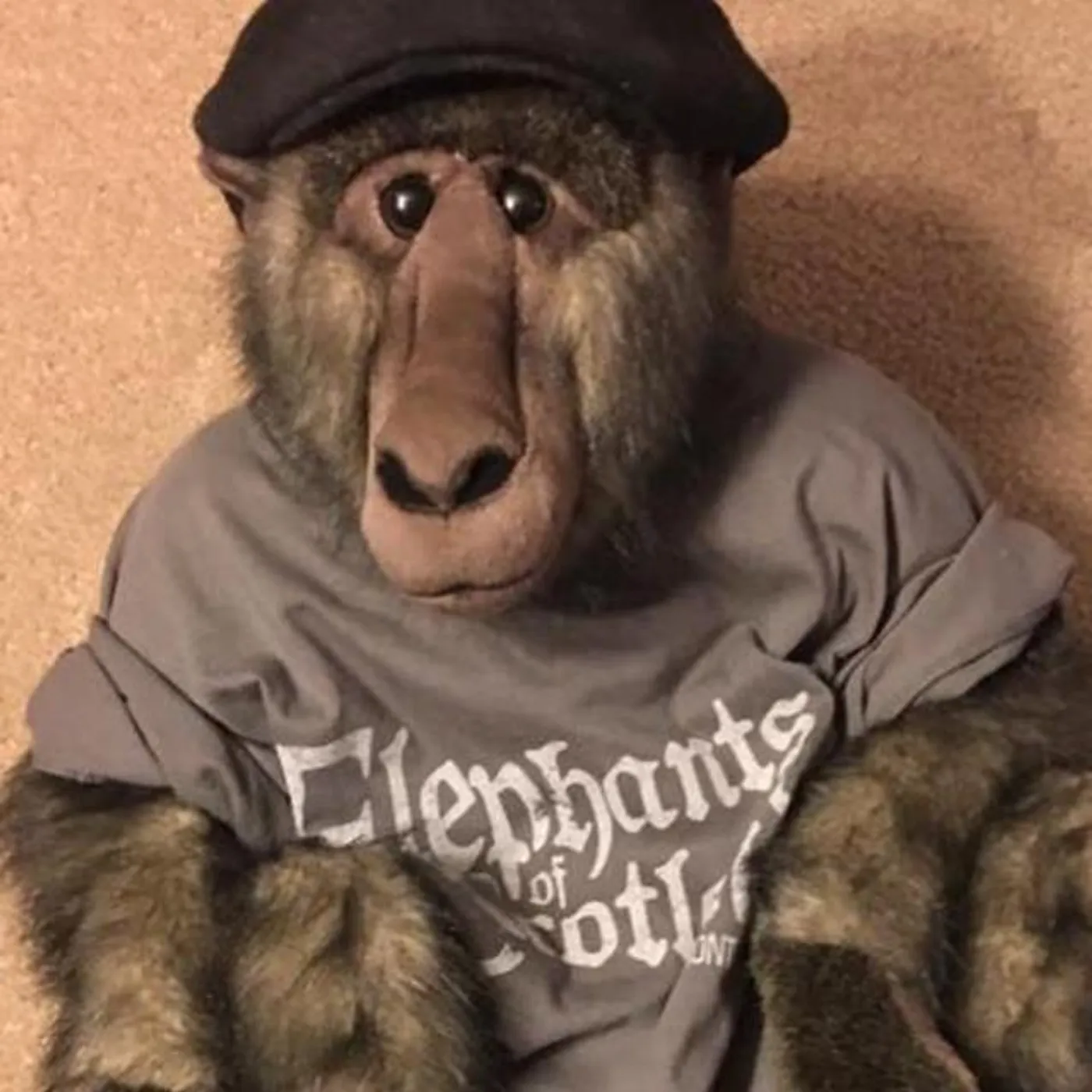 Elephants of Scotland Brand Page