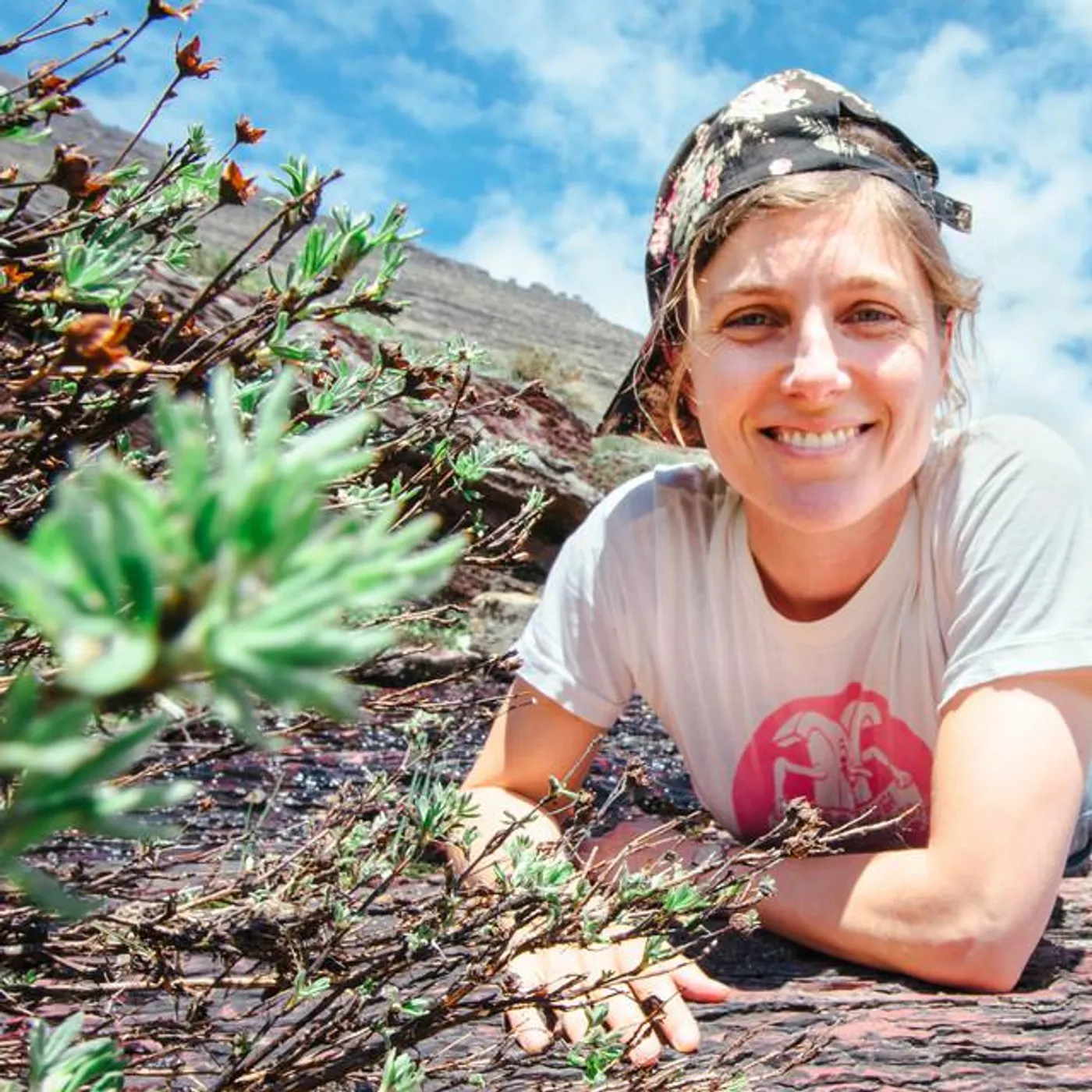 Elisabeth Pixley-Fink Brand Page