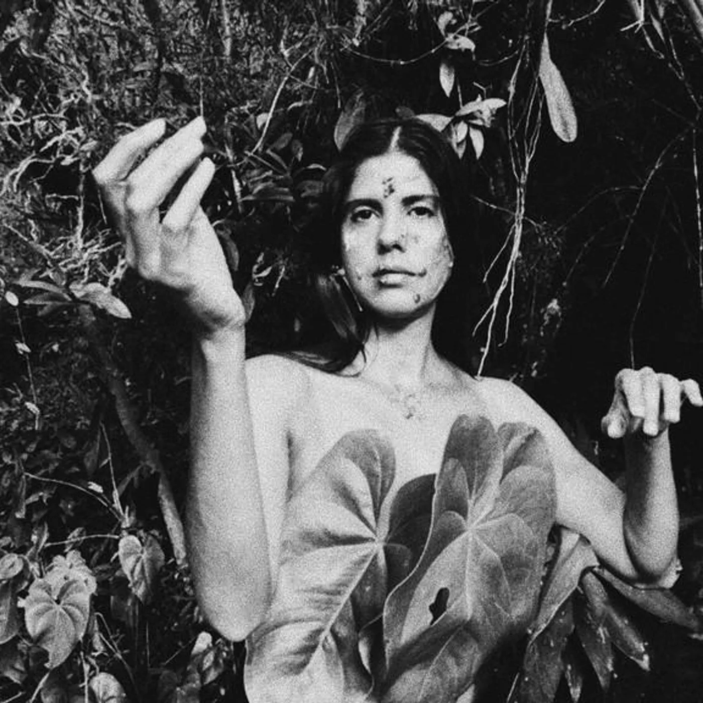 Eliza Lacerda Brand Page