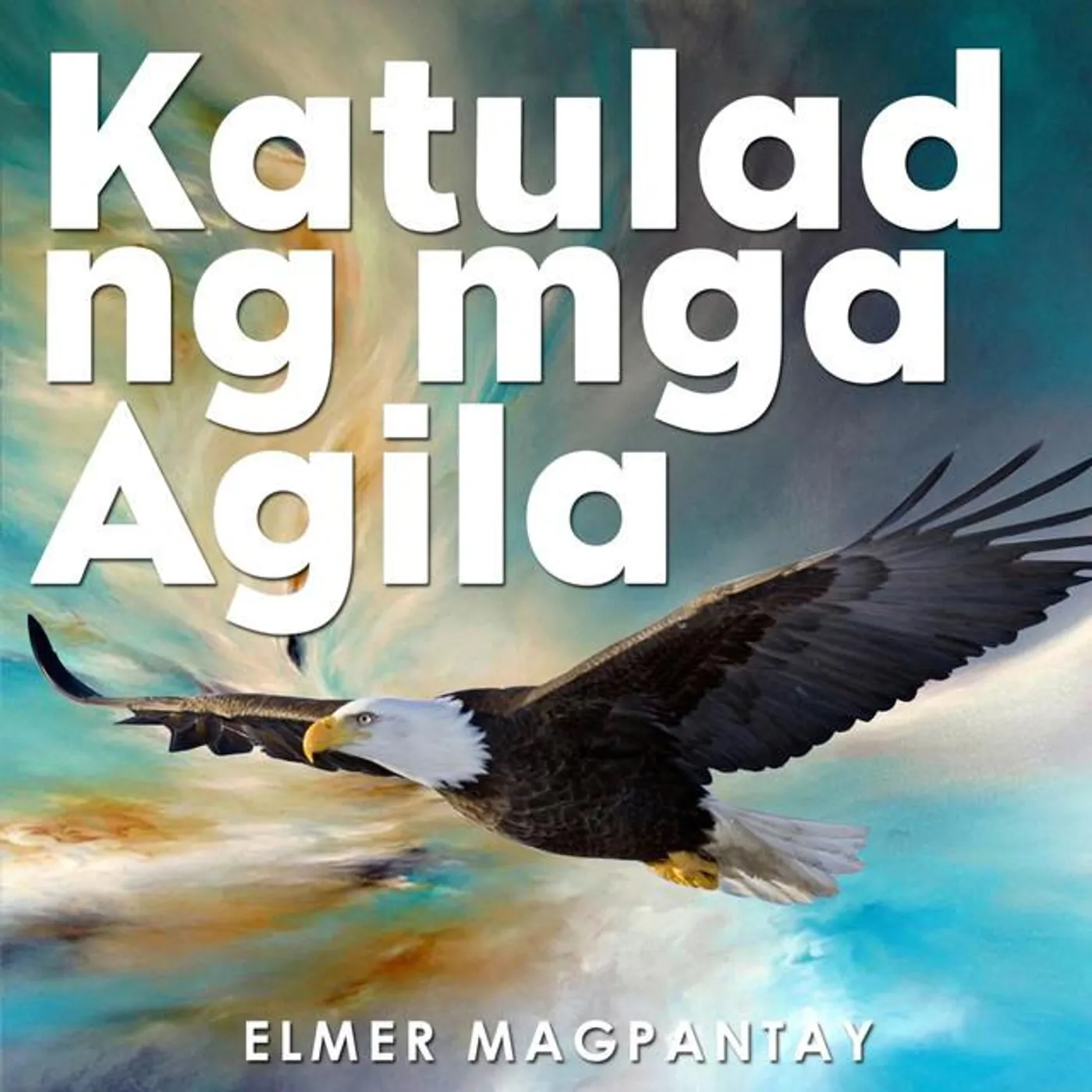 Elmer Magpantay