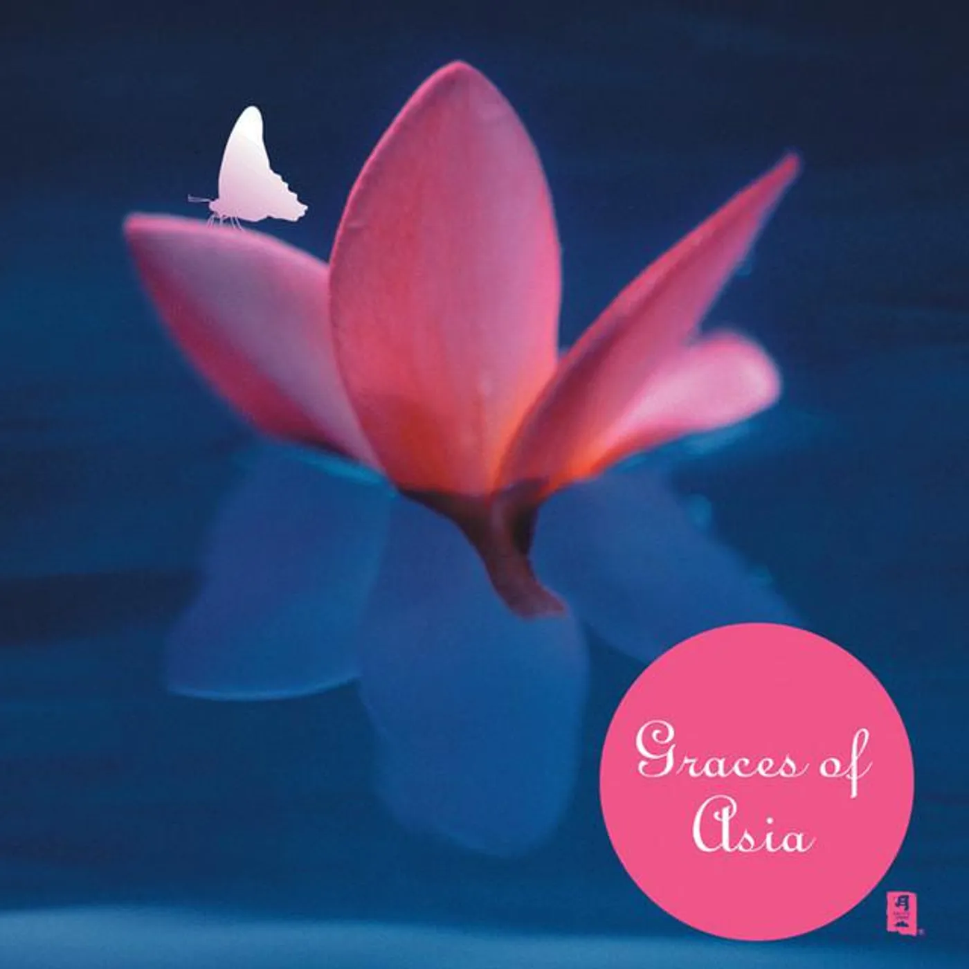 Eri Sugai Brand Page