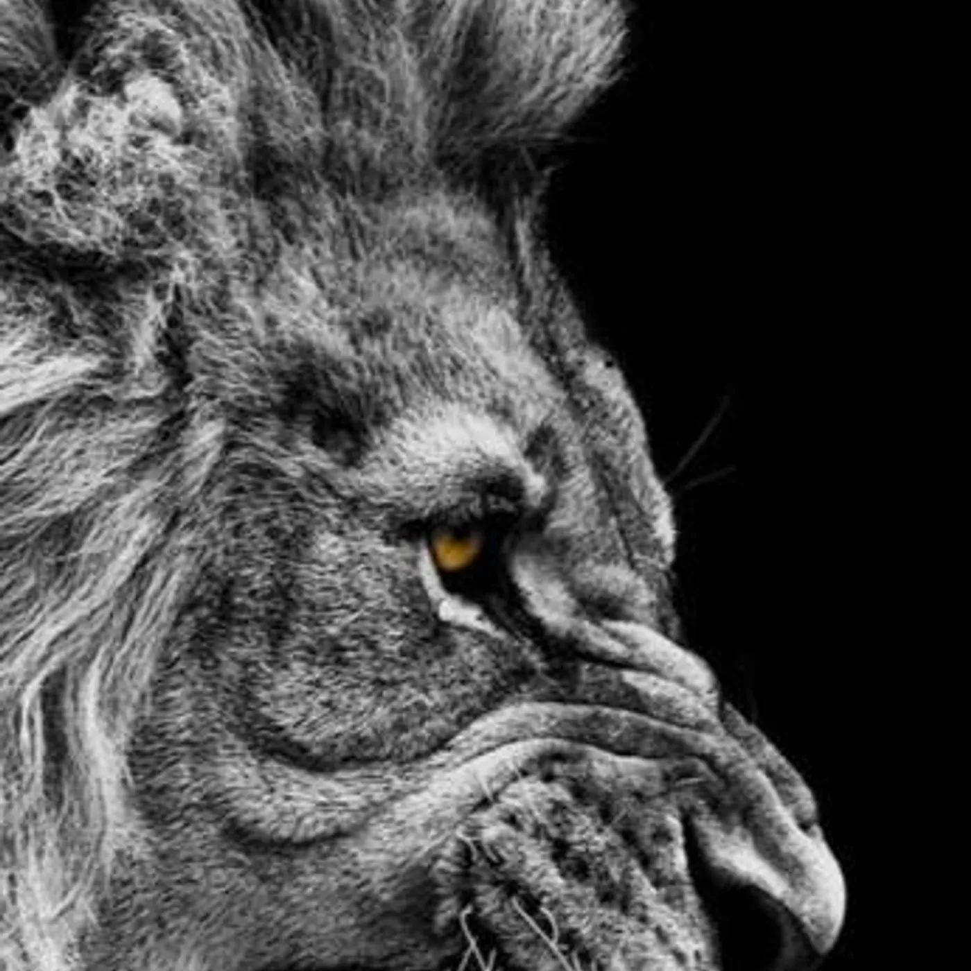 Eric Strickland Brand Page