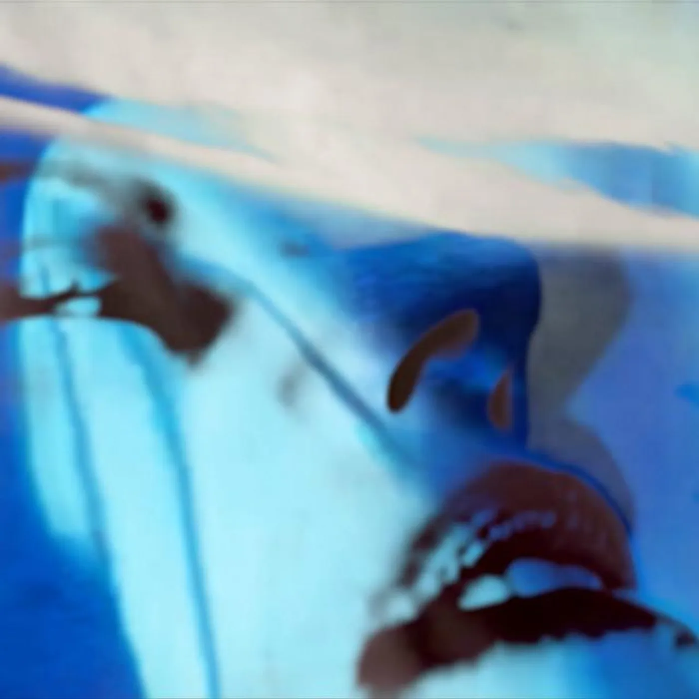 Erika Angell Brand Page