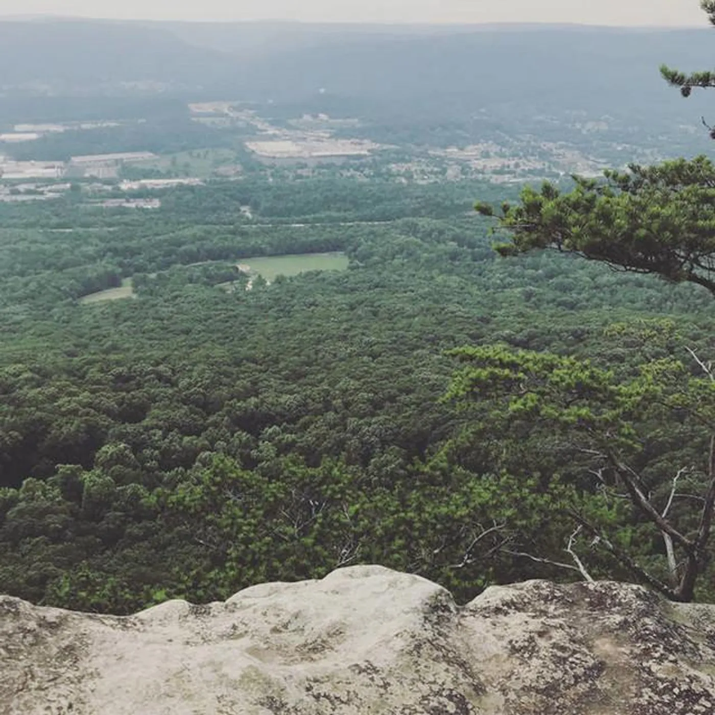 Erika Gluck Brand Page