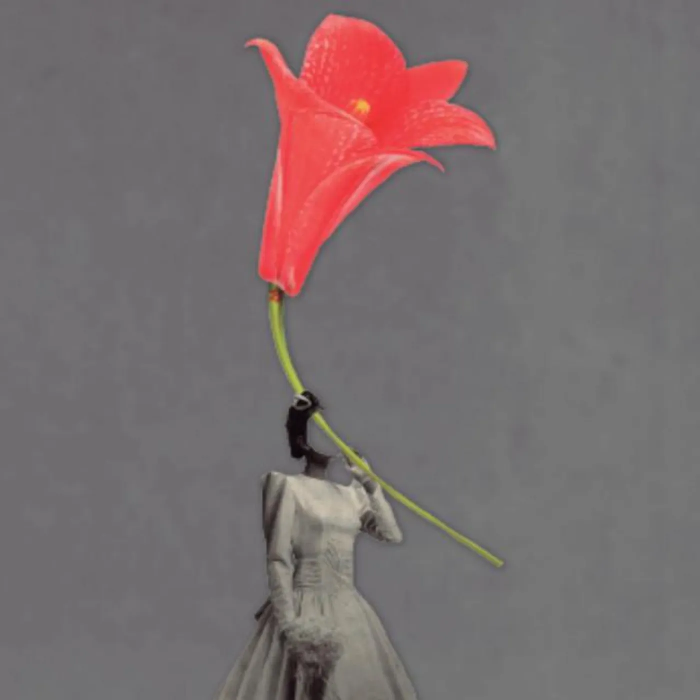 Estación Experimental