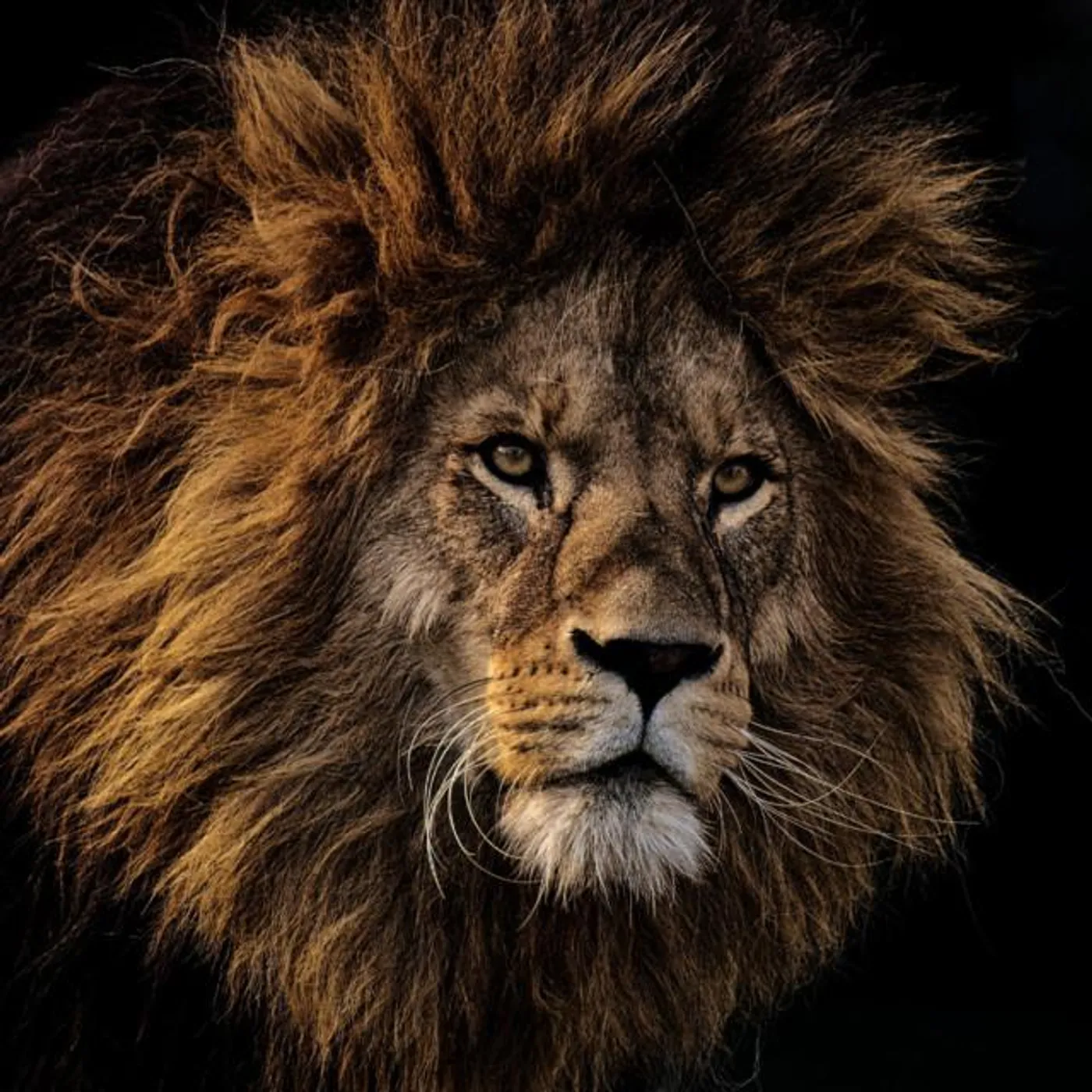 Escape the Matrix Brand Page