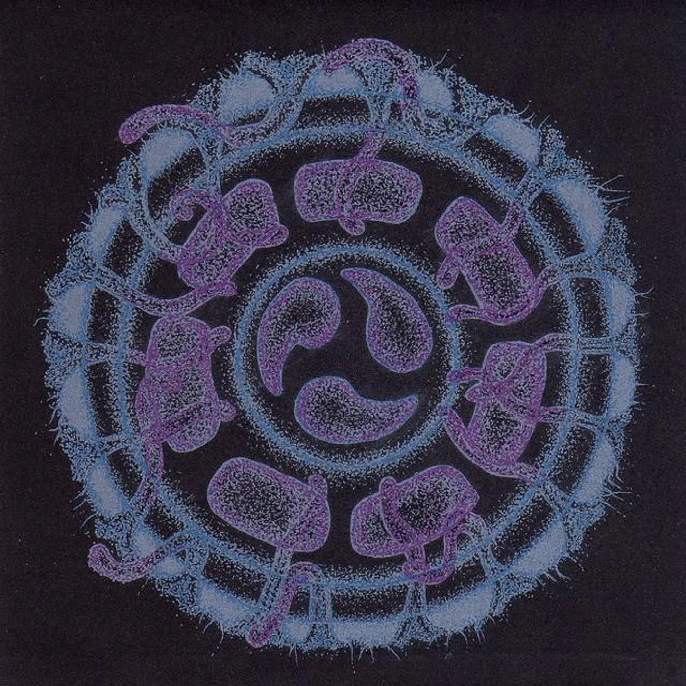 Evan Marc Brand Page