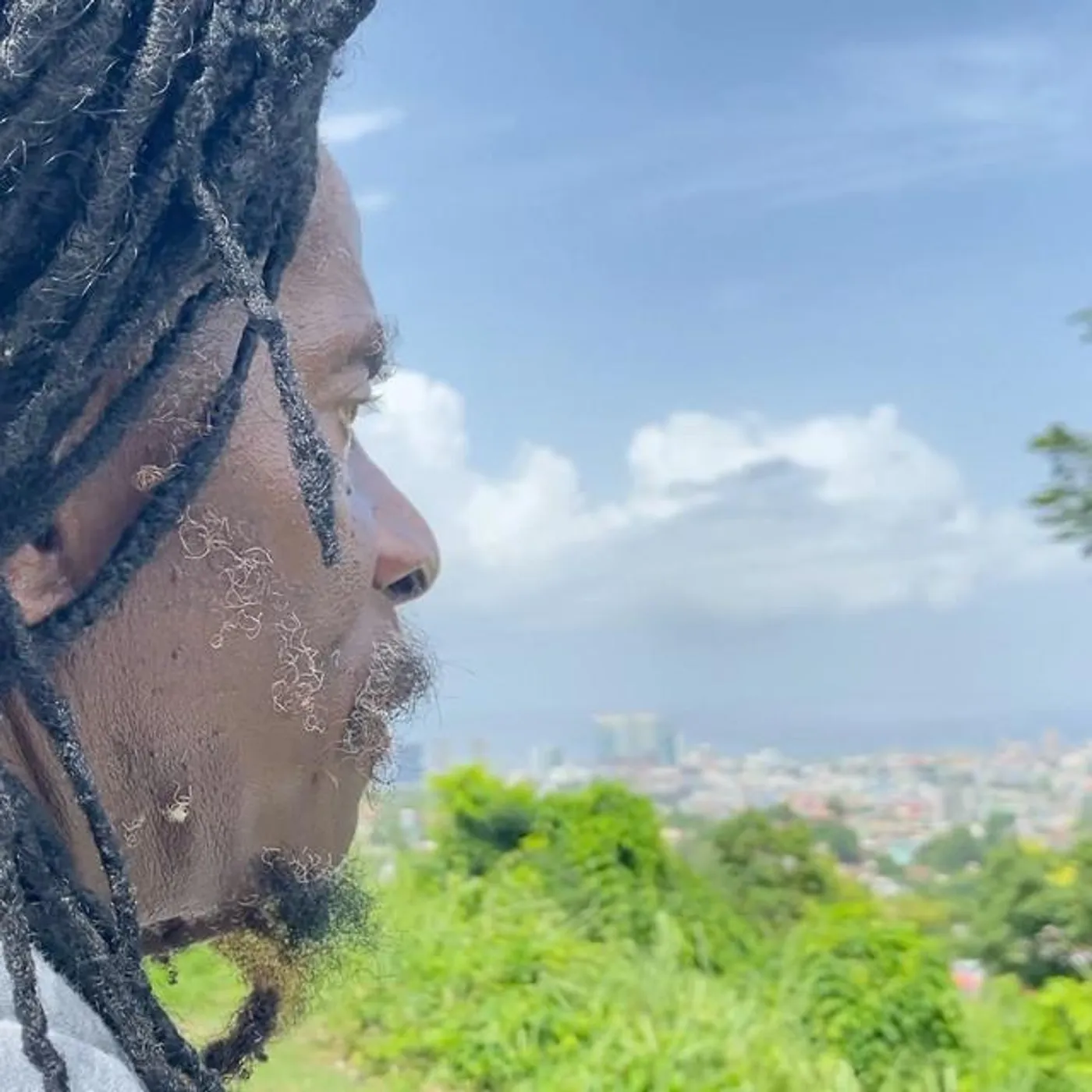 Everton Blender Brand Page