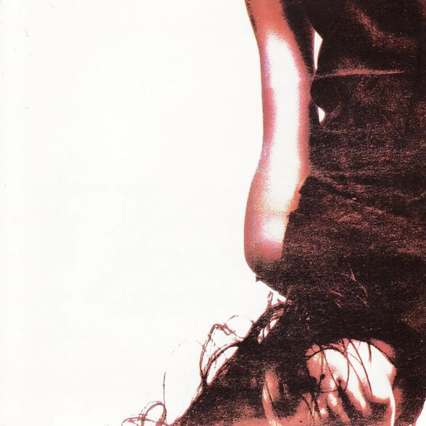 Examination Of The... Brand Page