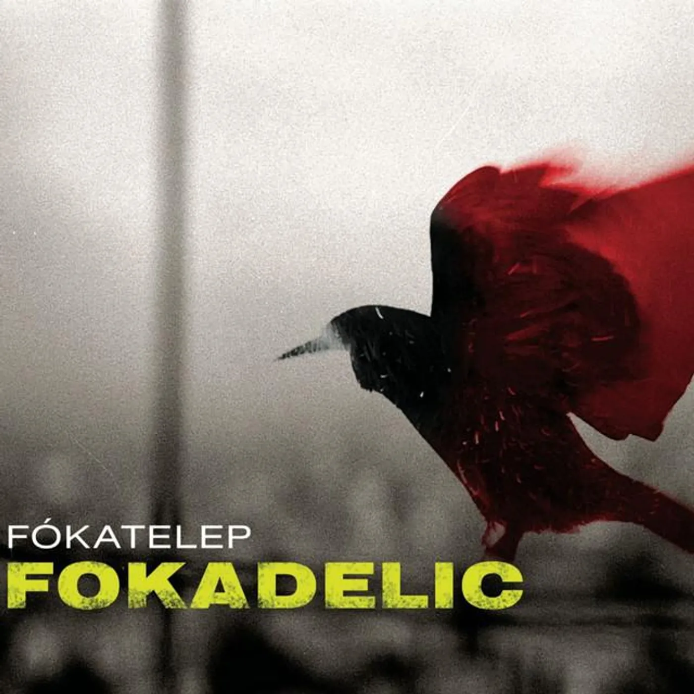 Fókatelep Brand Page