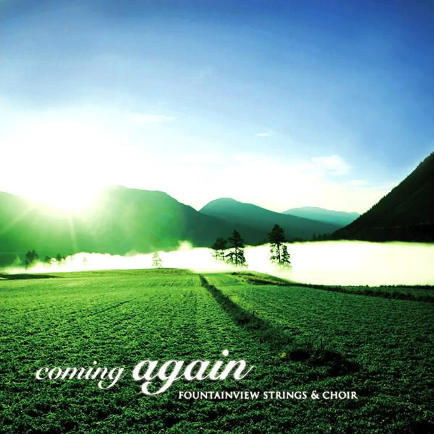 Fountainview Strings Brand Page