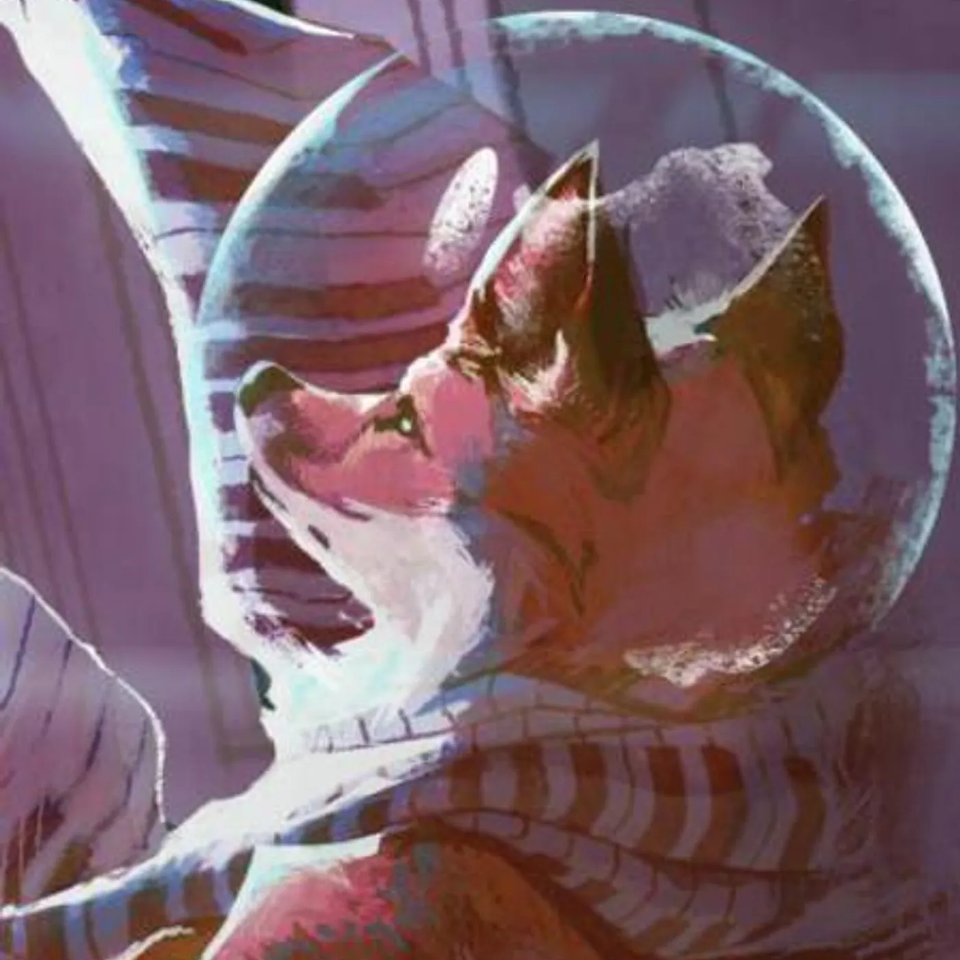 Fox Amoore Brand Page