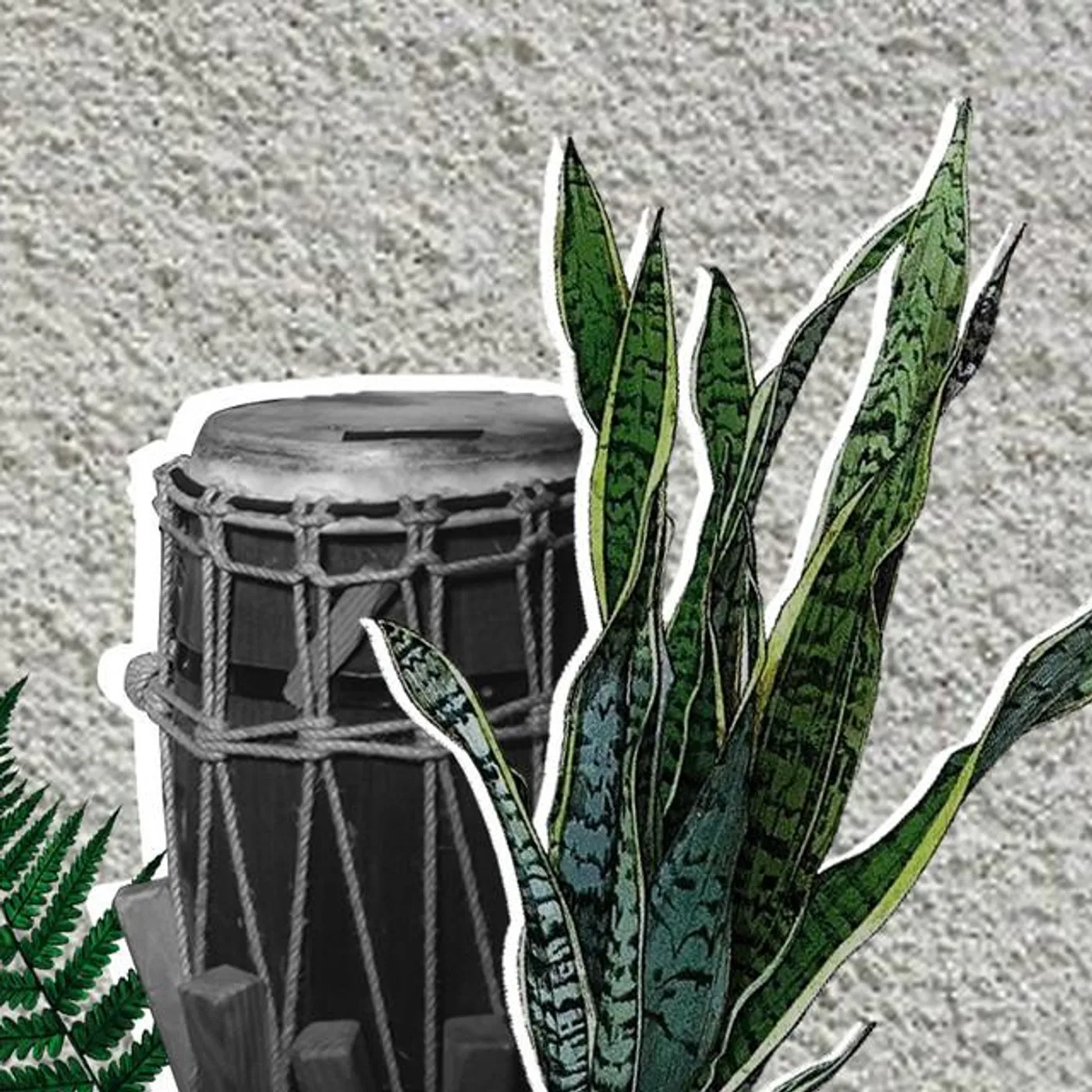 Foli Griô Orquestra