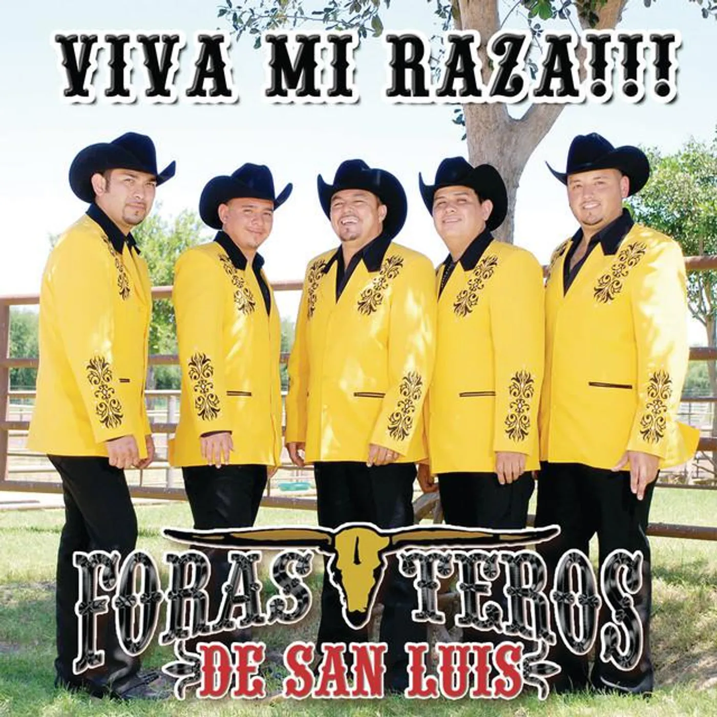 Forasteros De San Luis