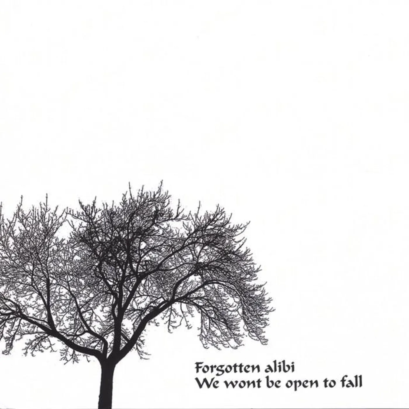 Forgotten Alibi