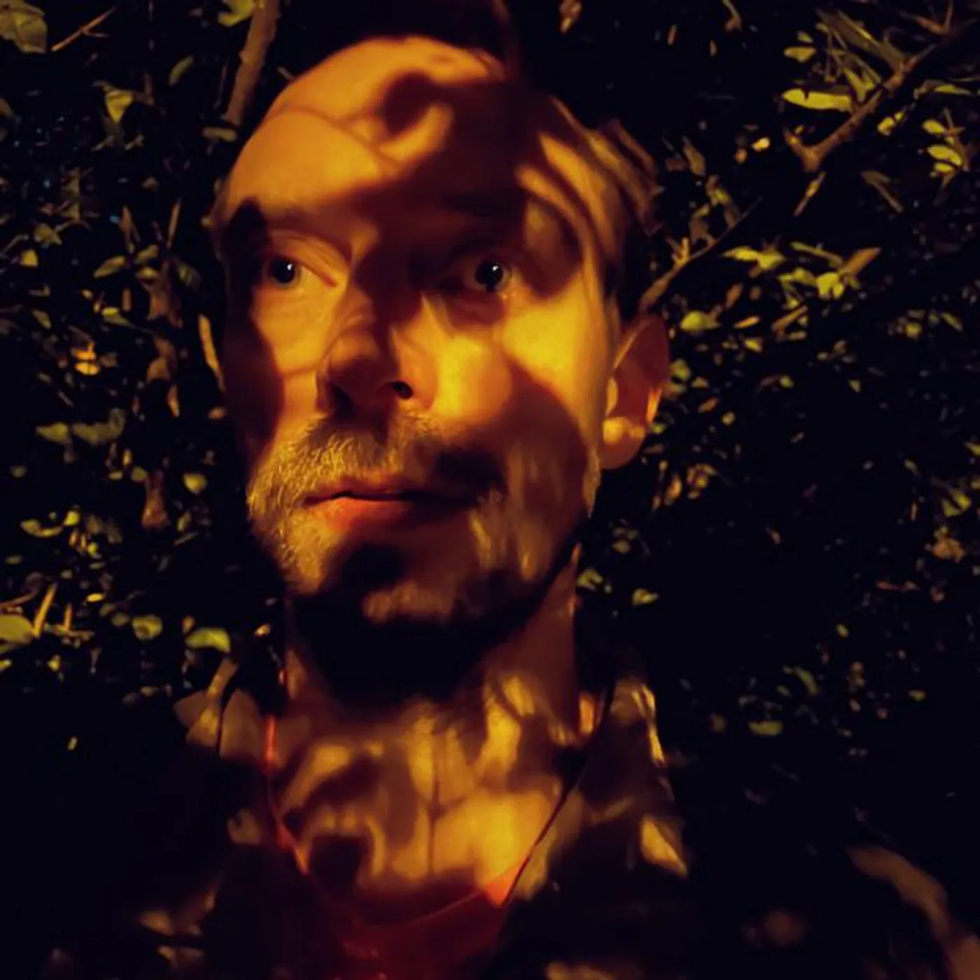 Bror Forsgren Brand Page