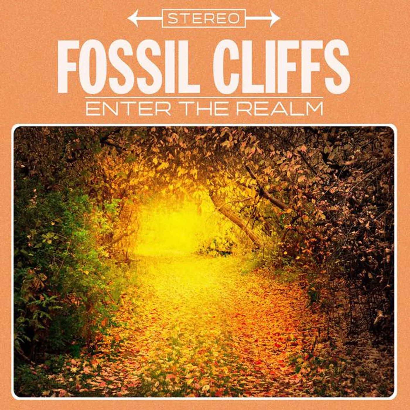 Fossil Cliffs