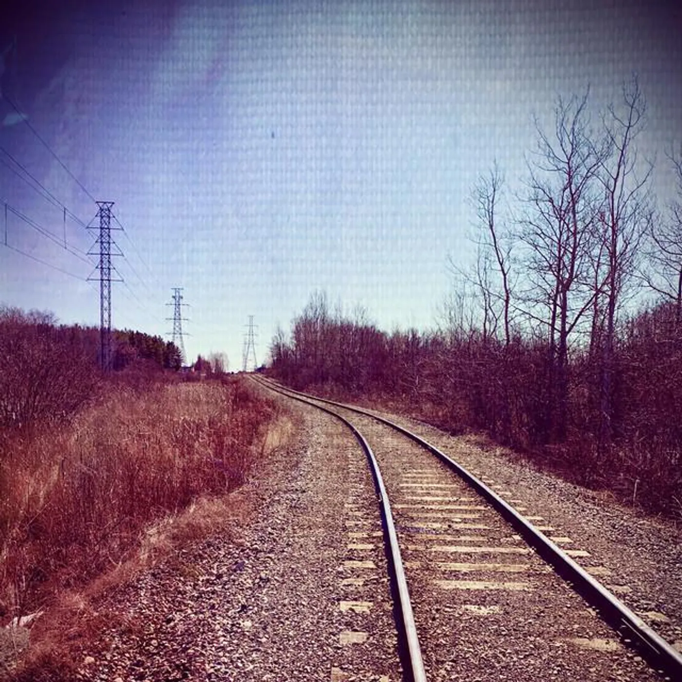 Fossil Hunting Collective Brand Page