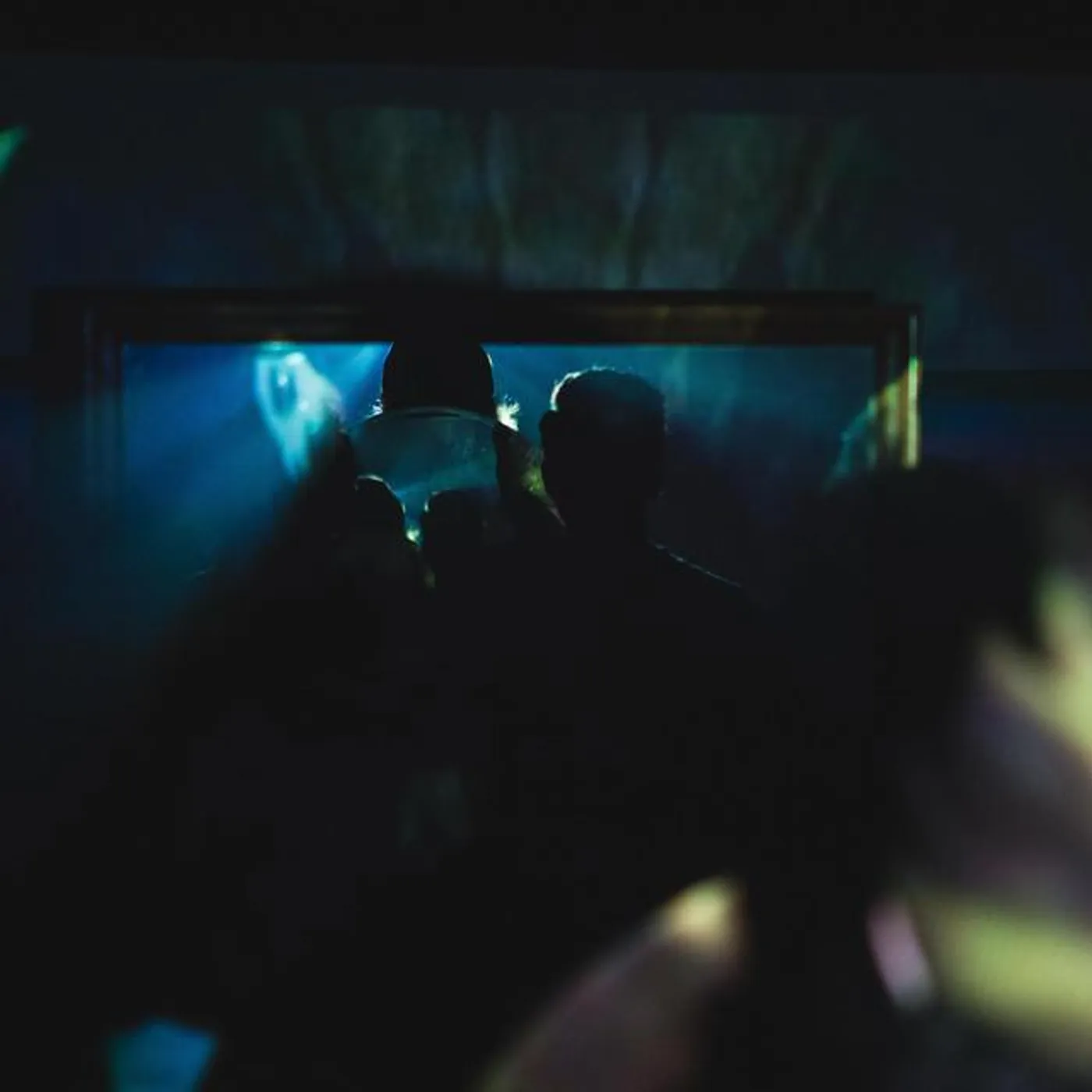 Fauna Shade Brand Page