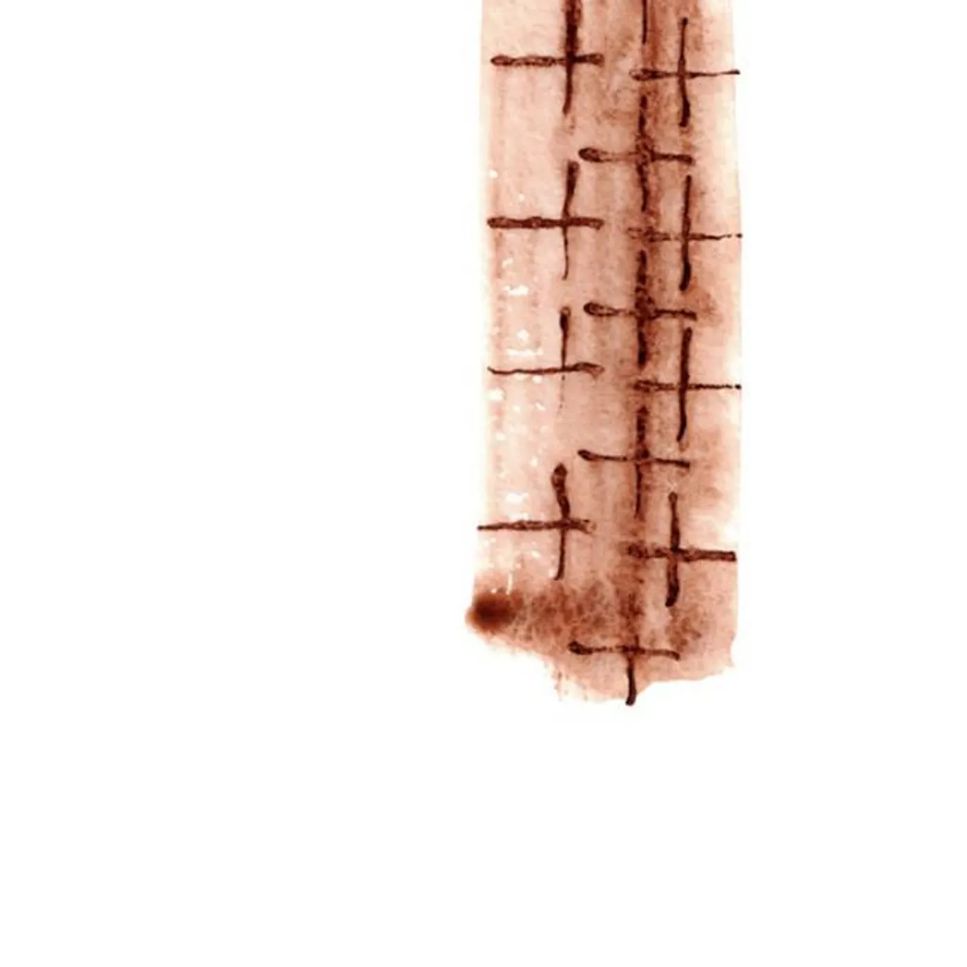 Fabrizio Maurizi Brand Page