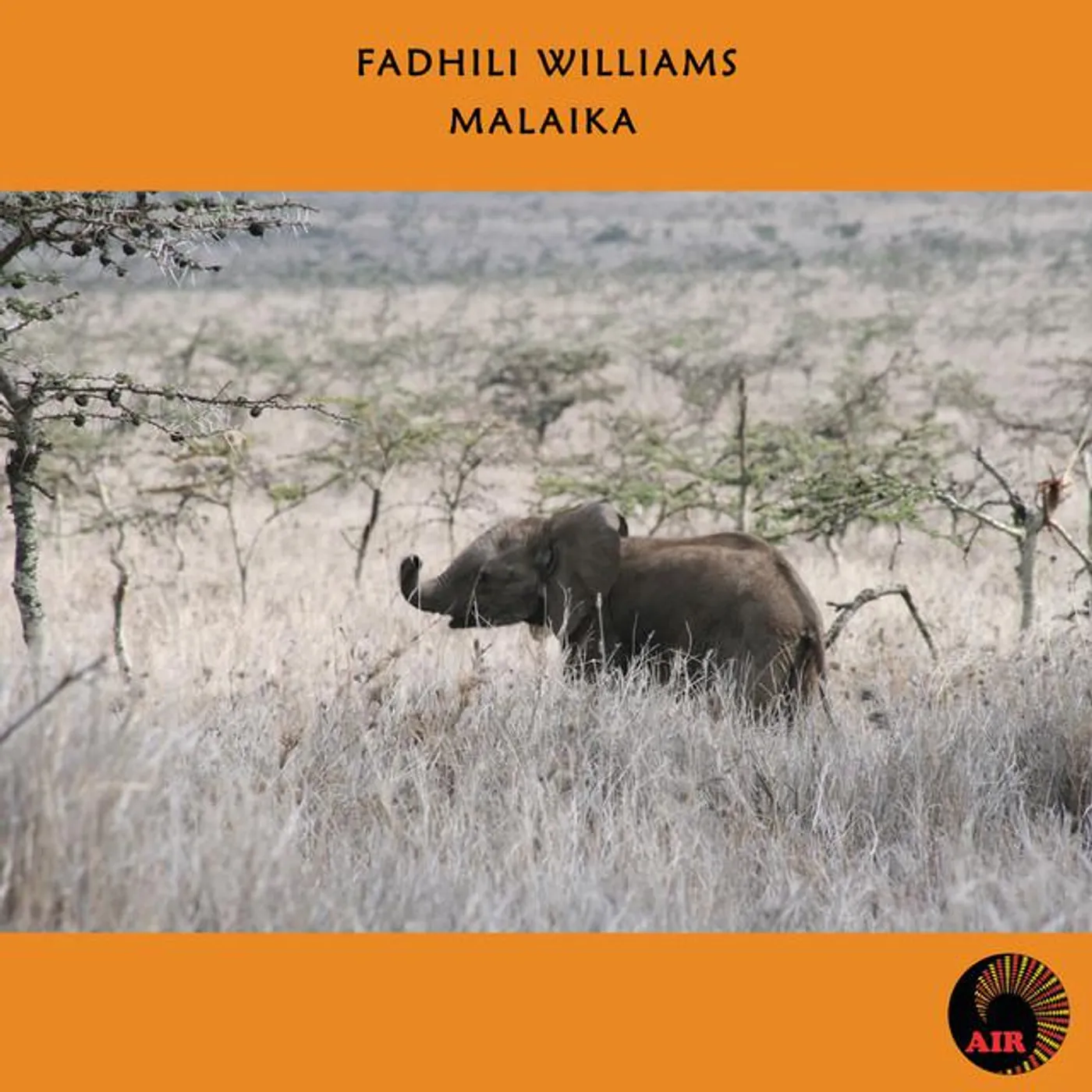 Fadhili Williams