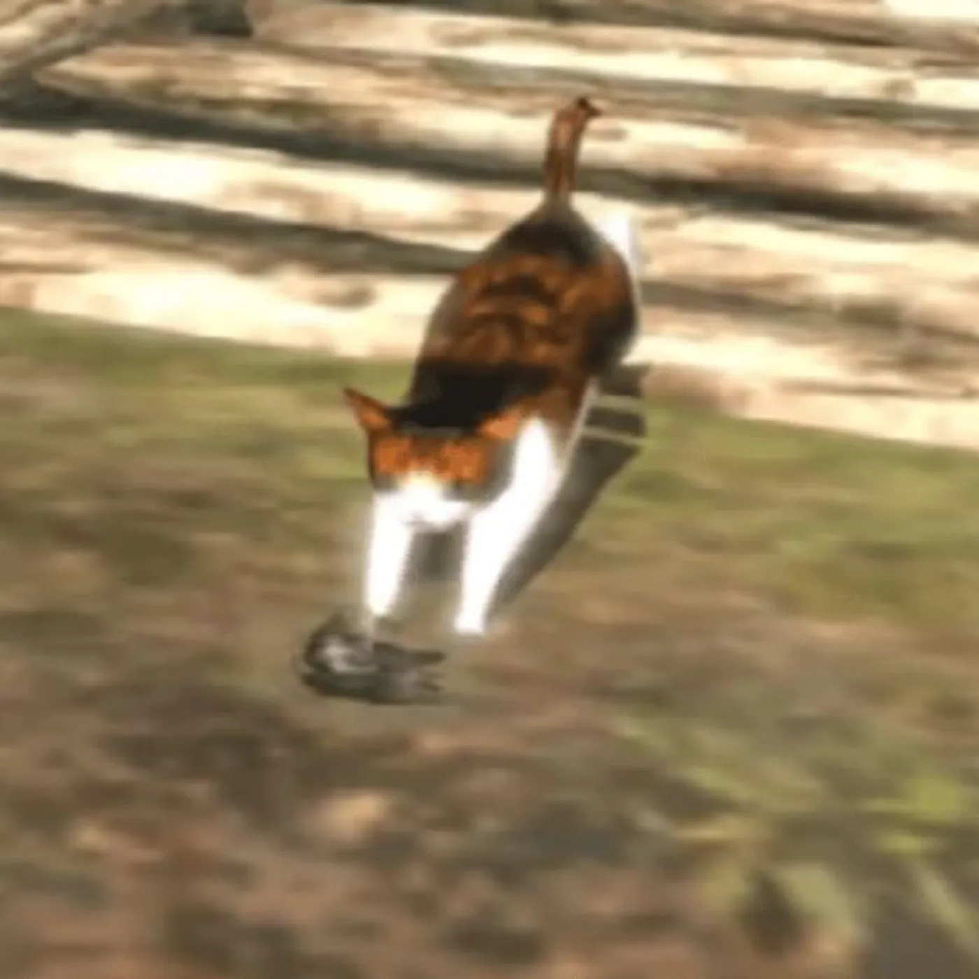 fairies in our house Brand Page