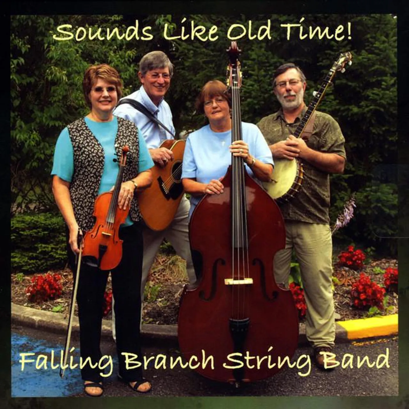 Falling Branch String Band