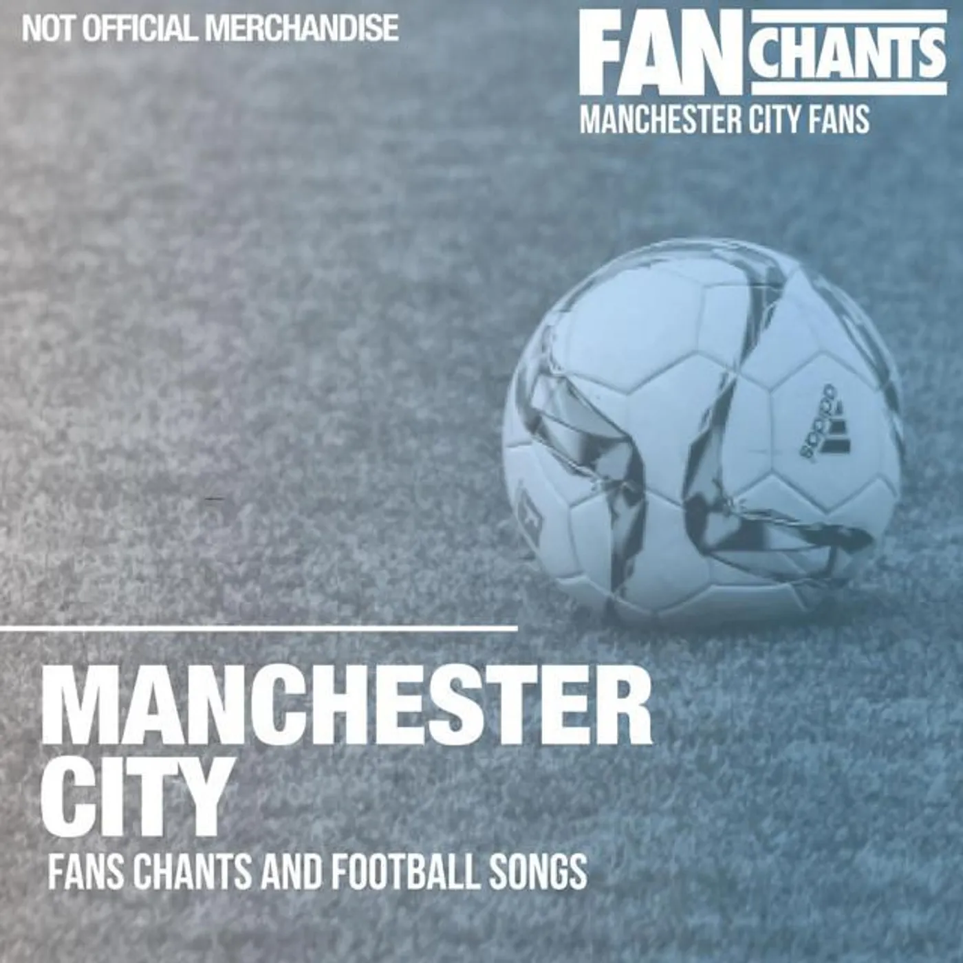 FanChants: Manchester City Fans