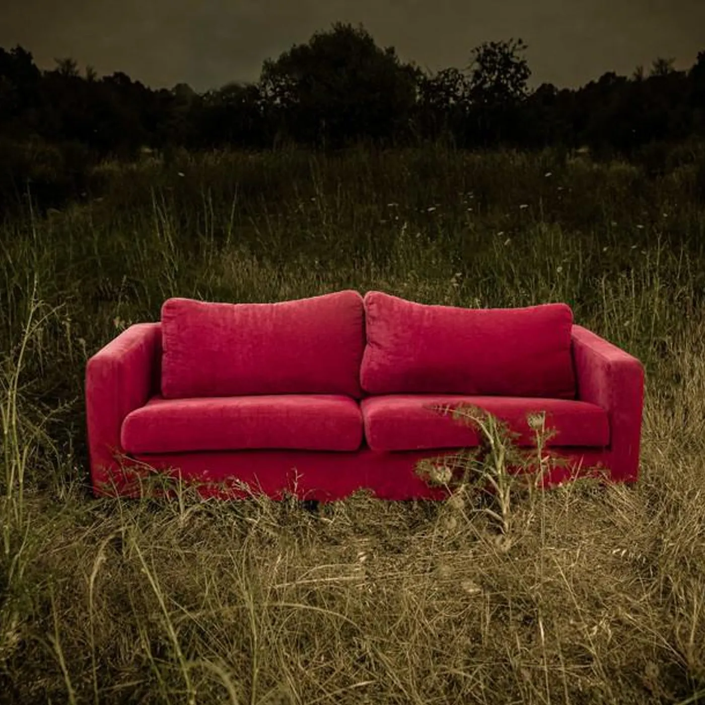 FEATHERED SUN Brand Page