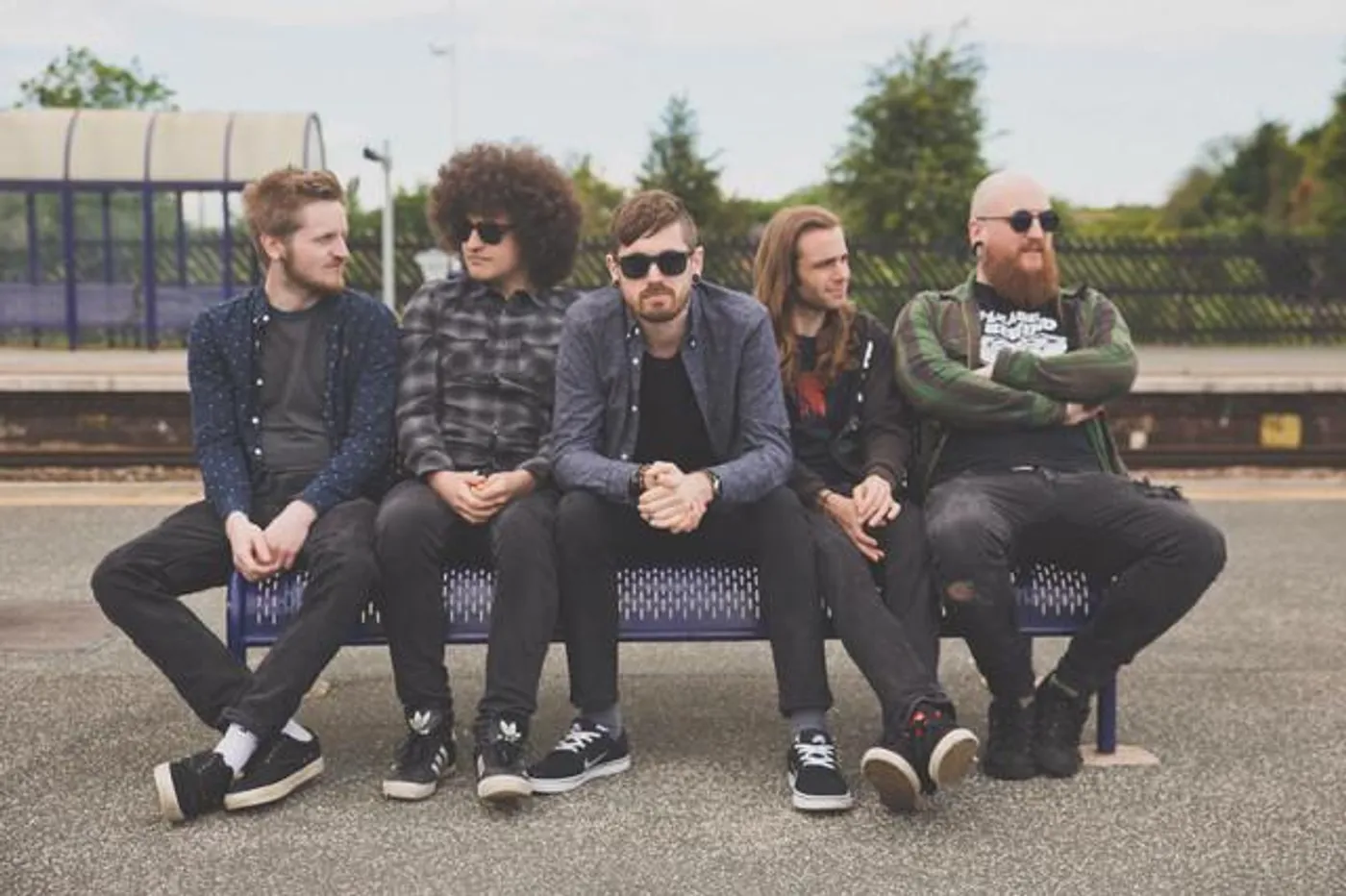 Feed Them to the Forest