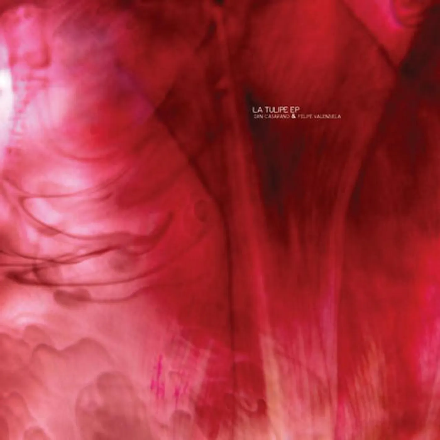 Felipe Valenzuela Brand Page