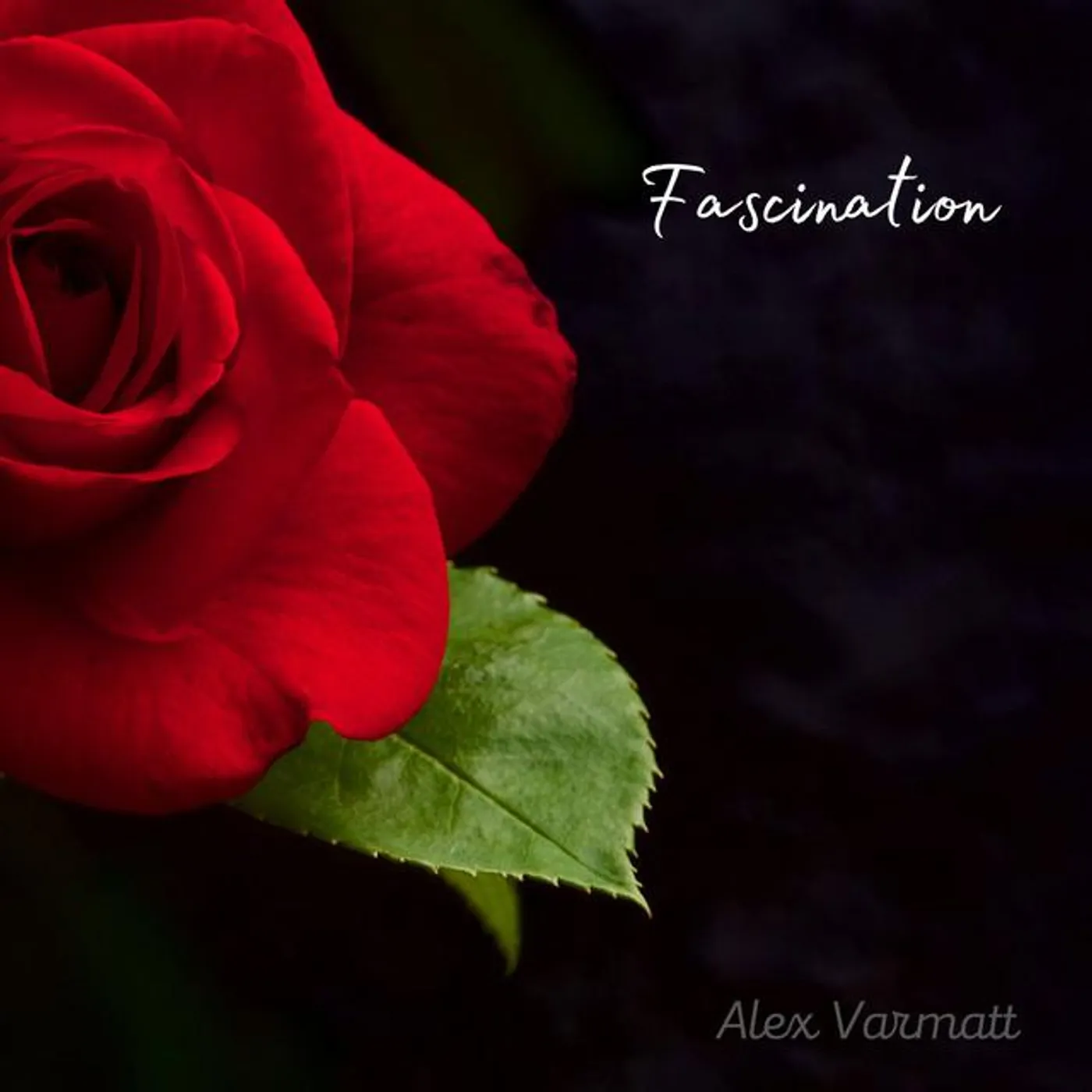 Fermo Dante Marchetti