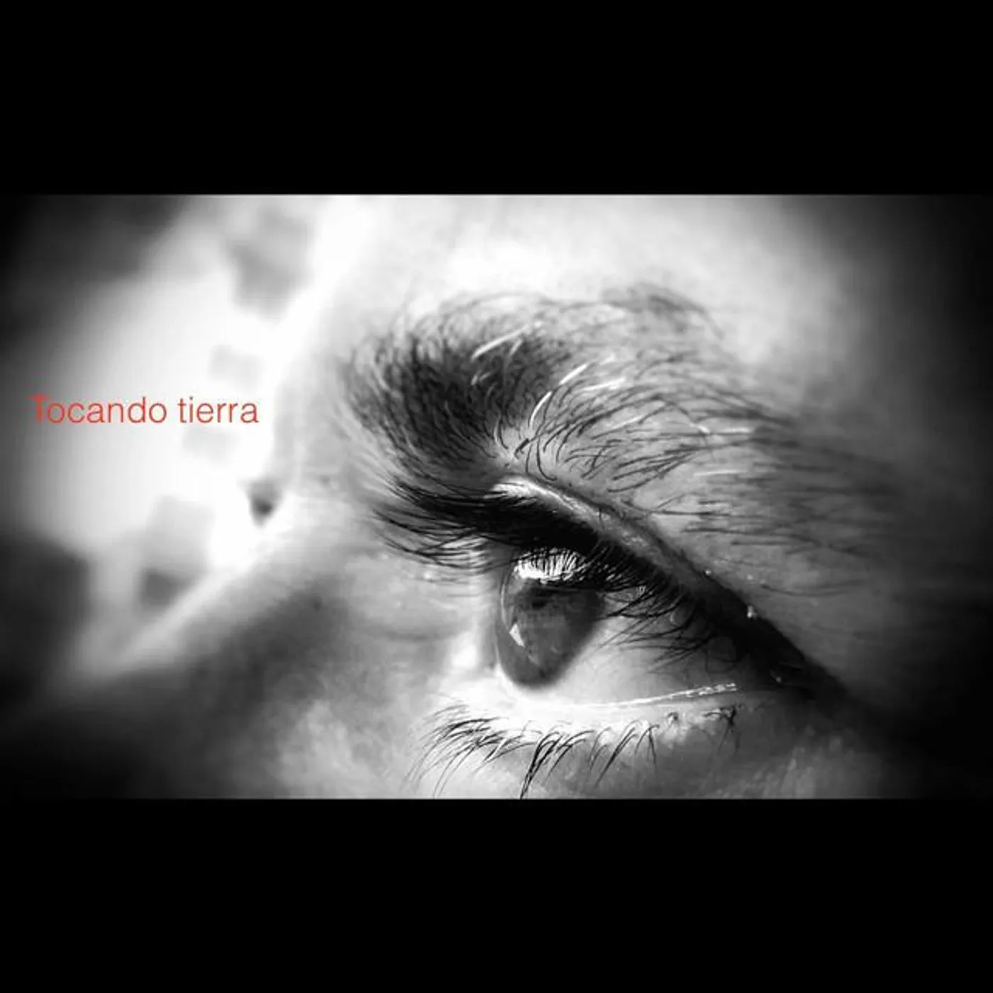 Fernando Martinez del Campo