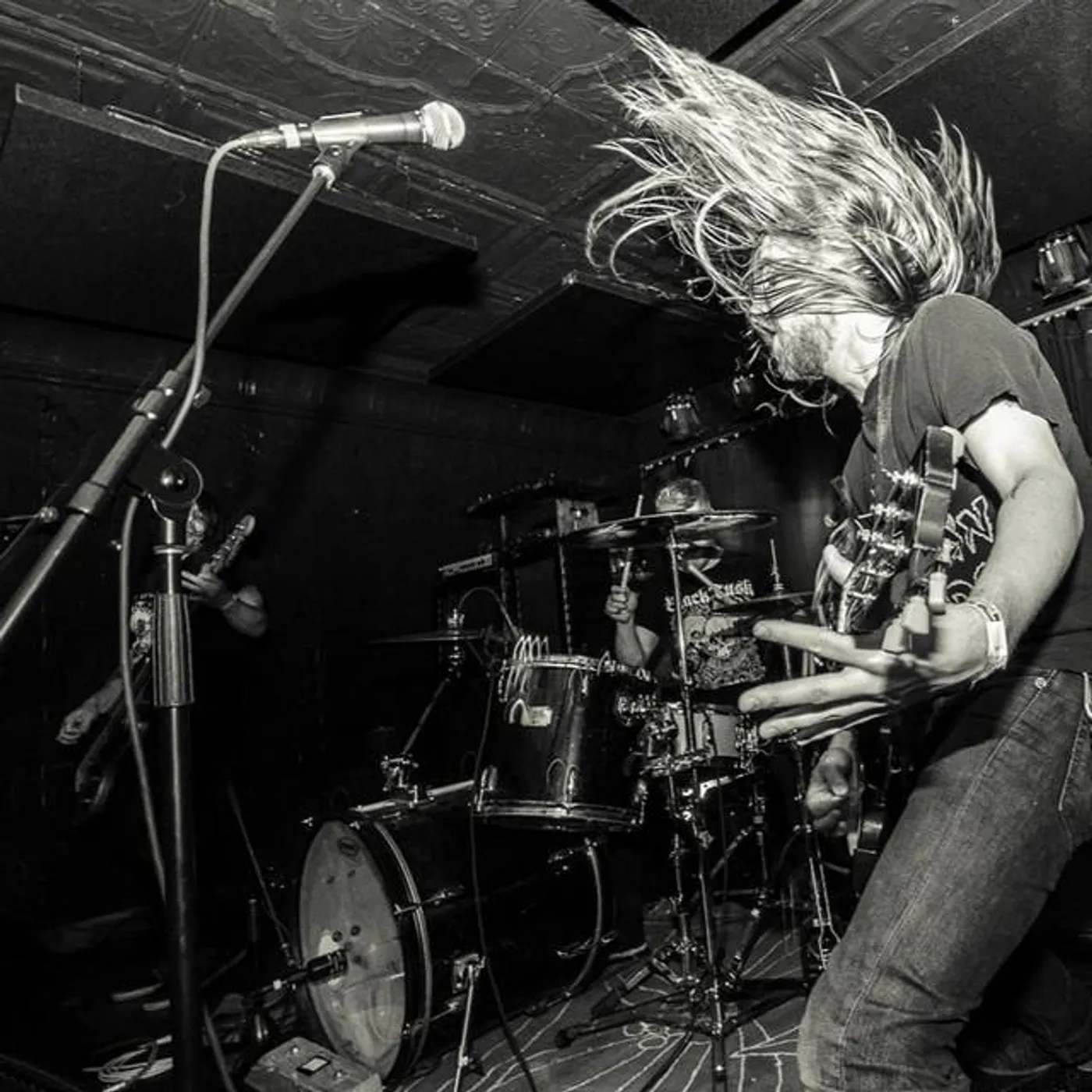 Fight Amp Brand Page