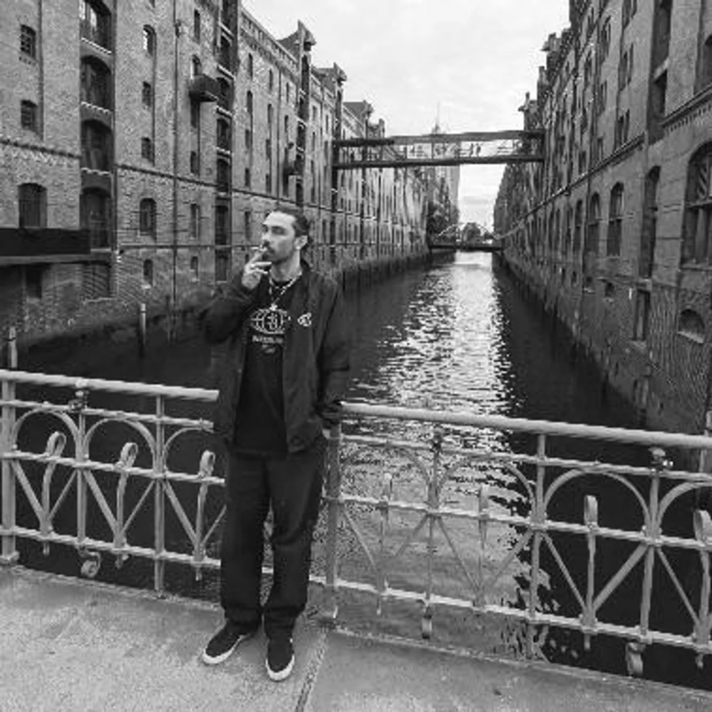 Figub Brazlevic Brand Page