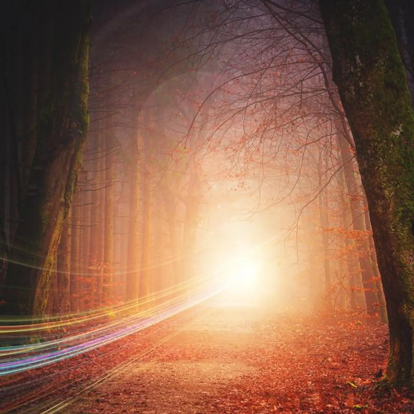 Filtered Light Brand Page