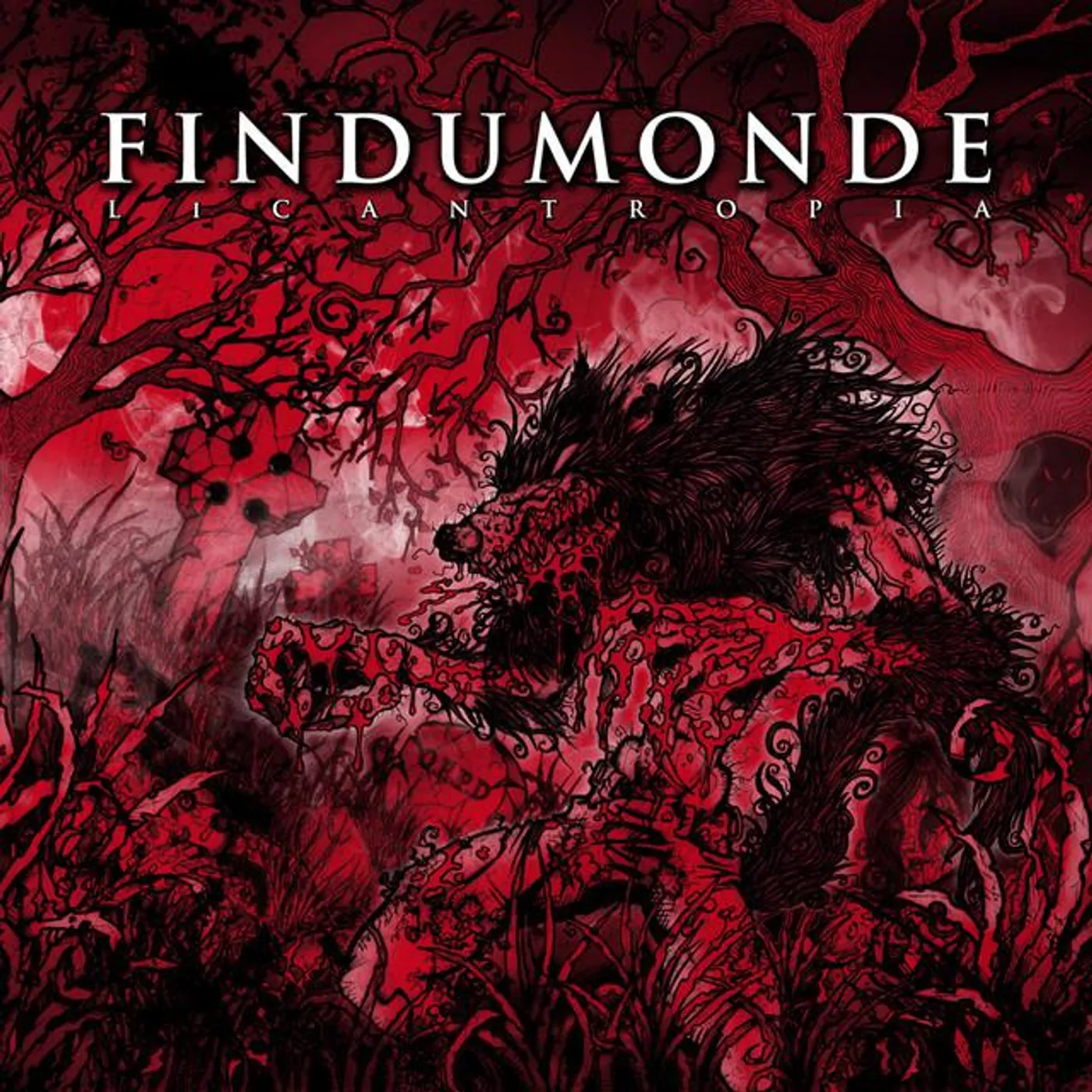 Findumonde Brand Page